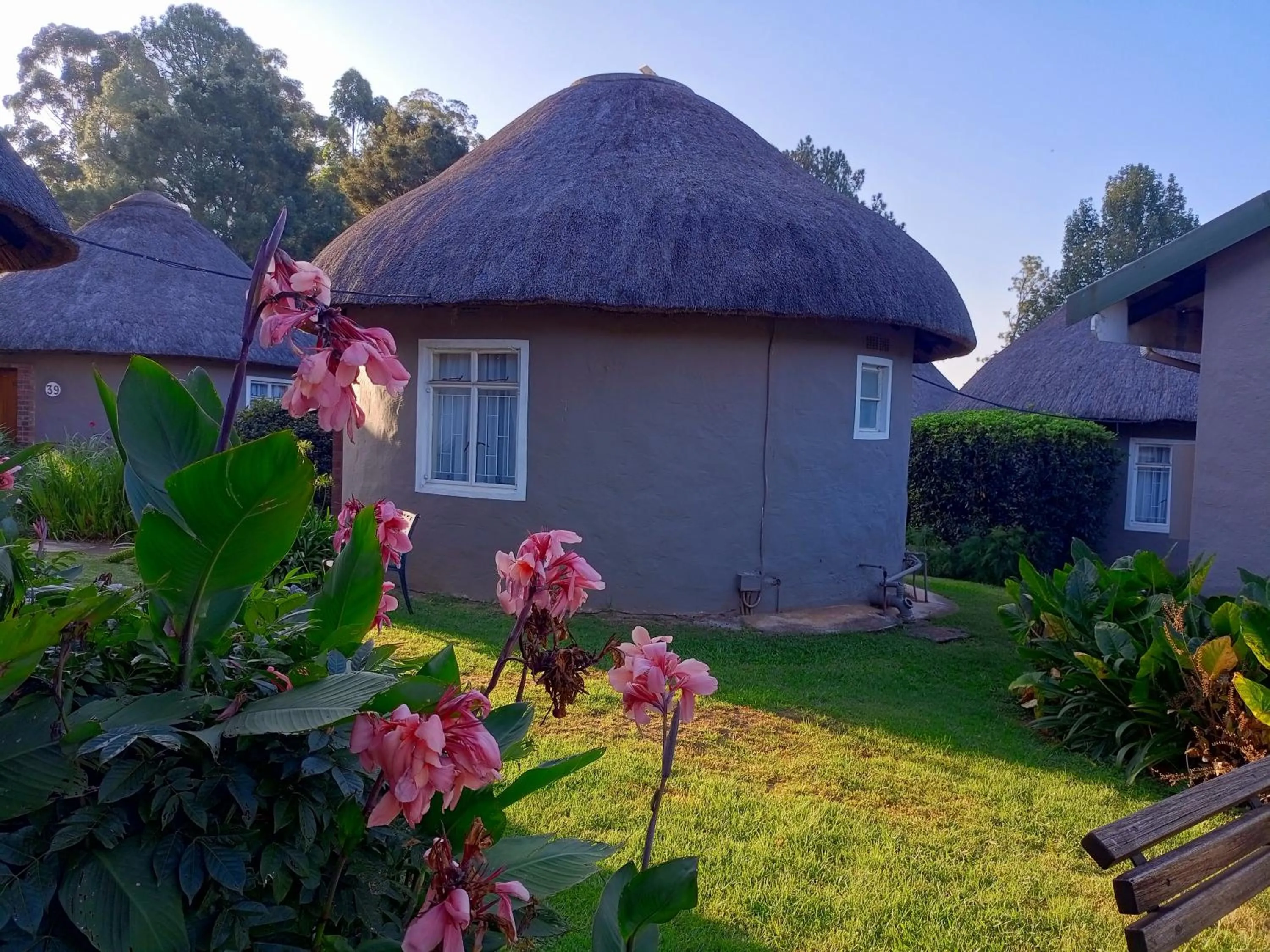 Garden view in The Nest Drakensberg Mountain Resort Hotel