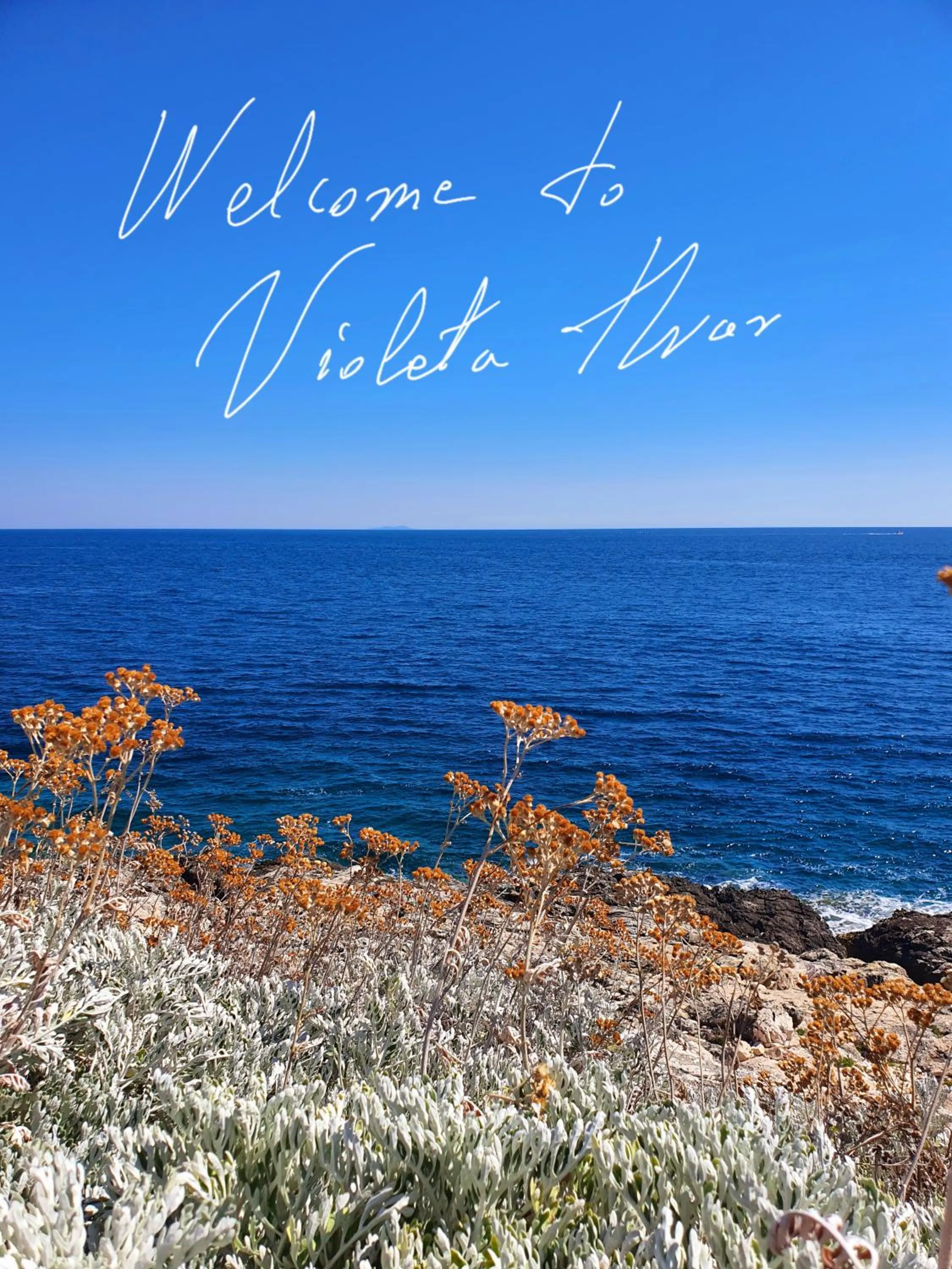 Violeta Hvar