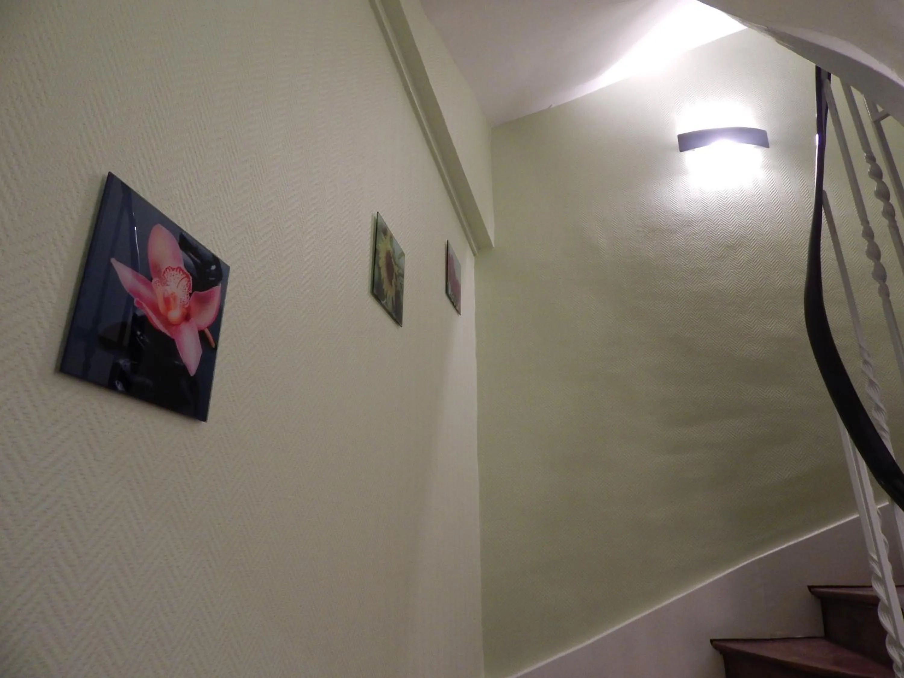 Area and facilities in Le Lion D'or