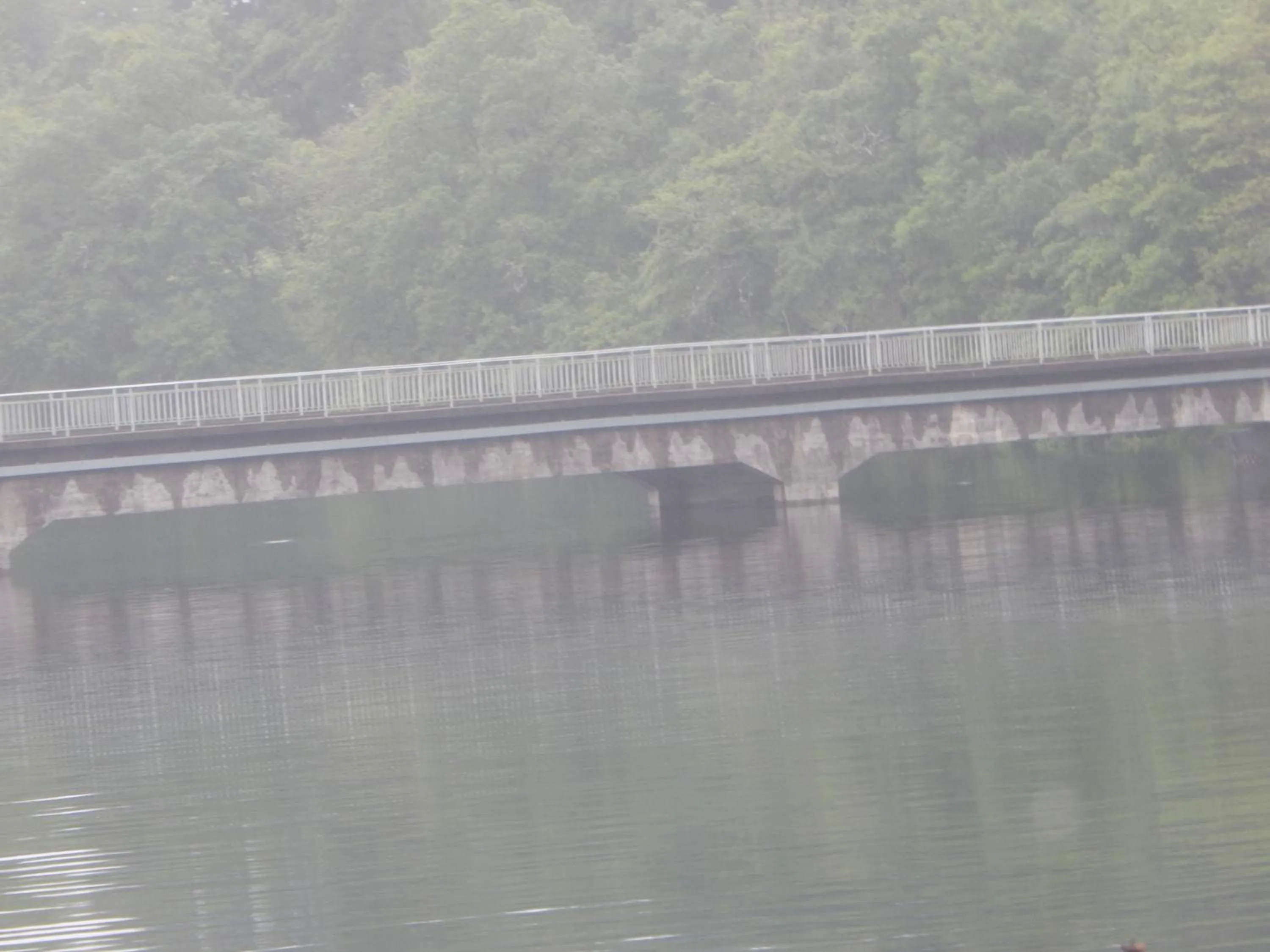 Nearby landmark in Le Lion D'or