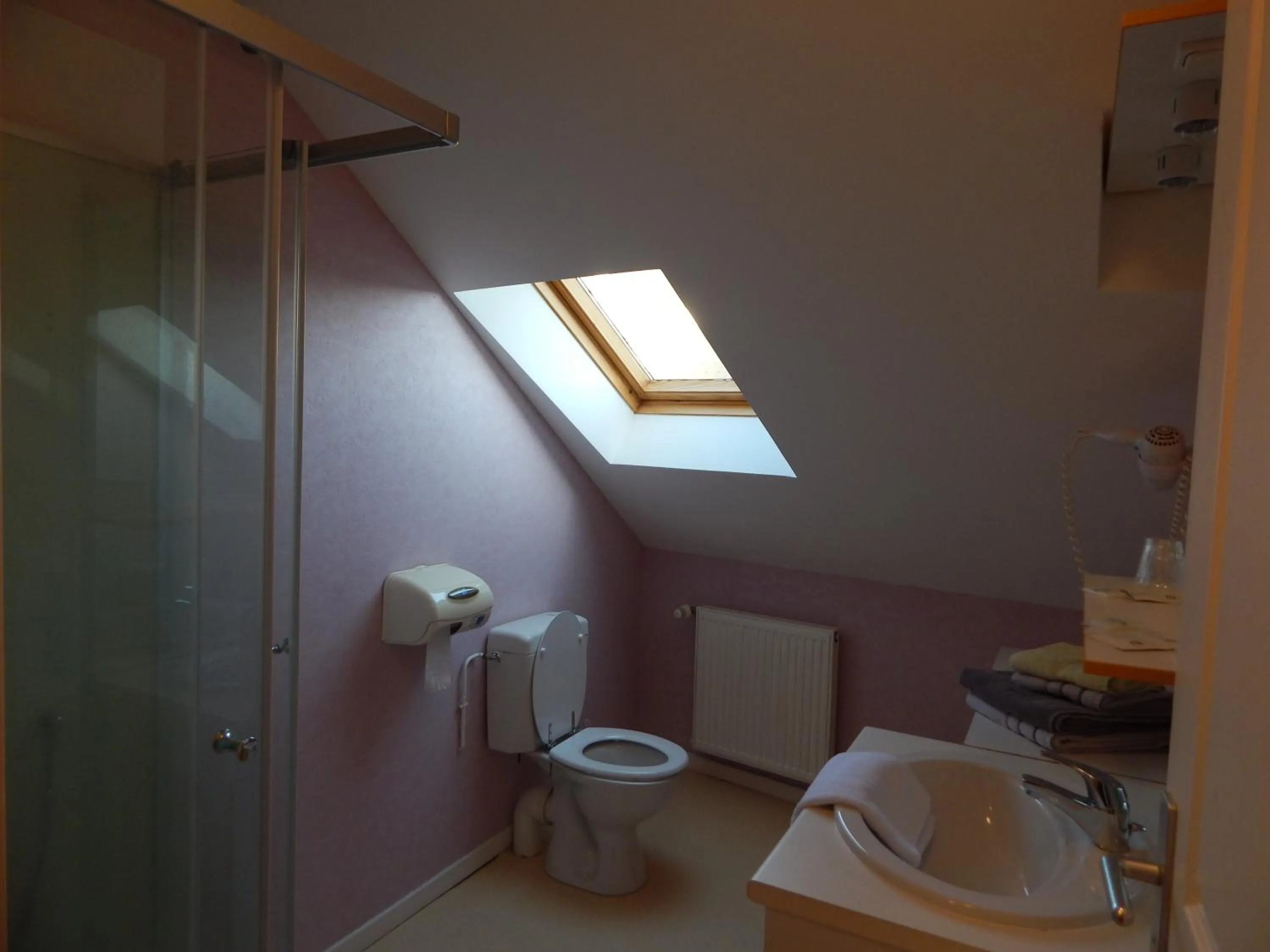 Shower in Le Lion D'or