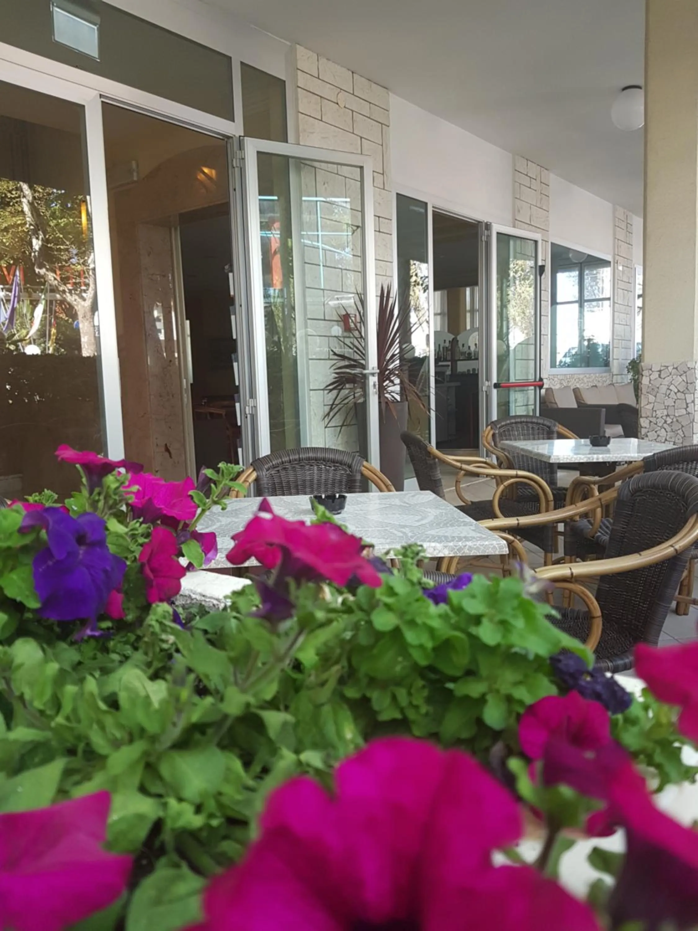 Garden in Hotel De La Plage