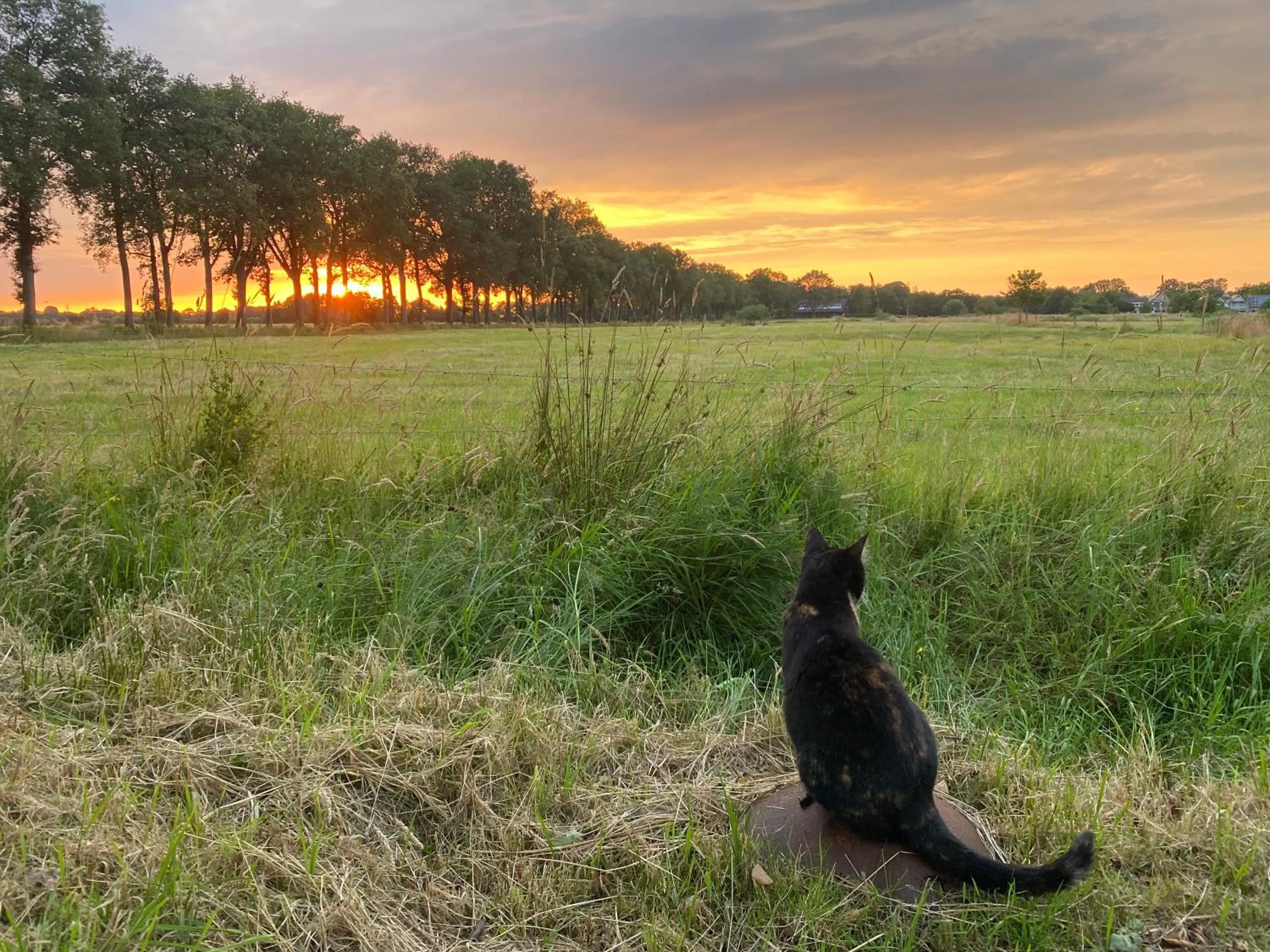View (from property/room) in Kindvriendelijk appartement de Hooge Stukken onder de rook van Groningen