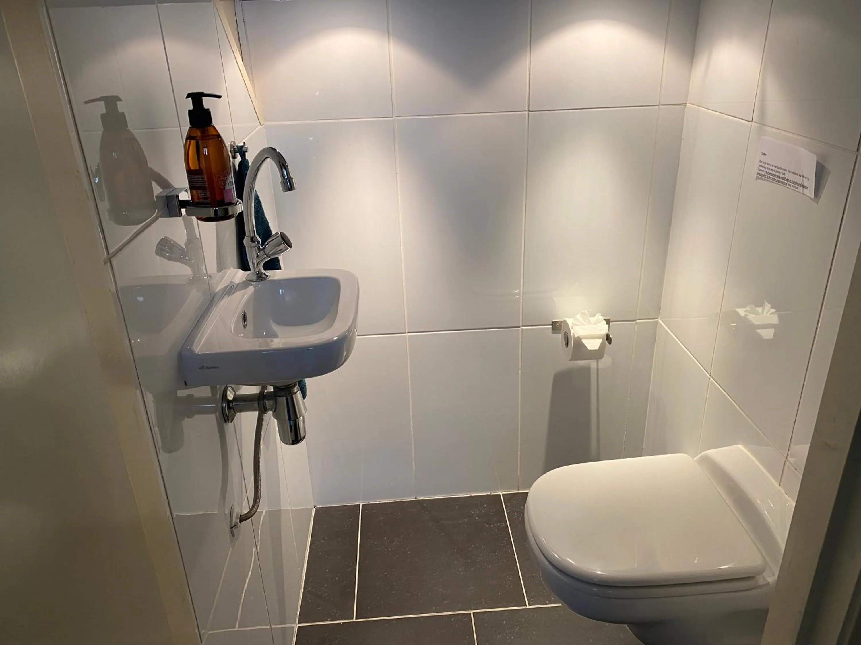 Toilet in Kindvriendelijk appartement de Hooge Stukken onder de rook van Groningen