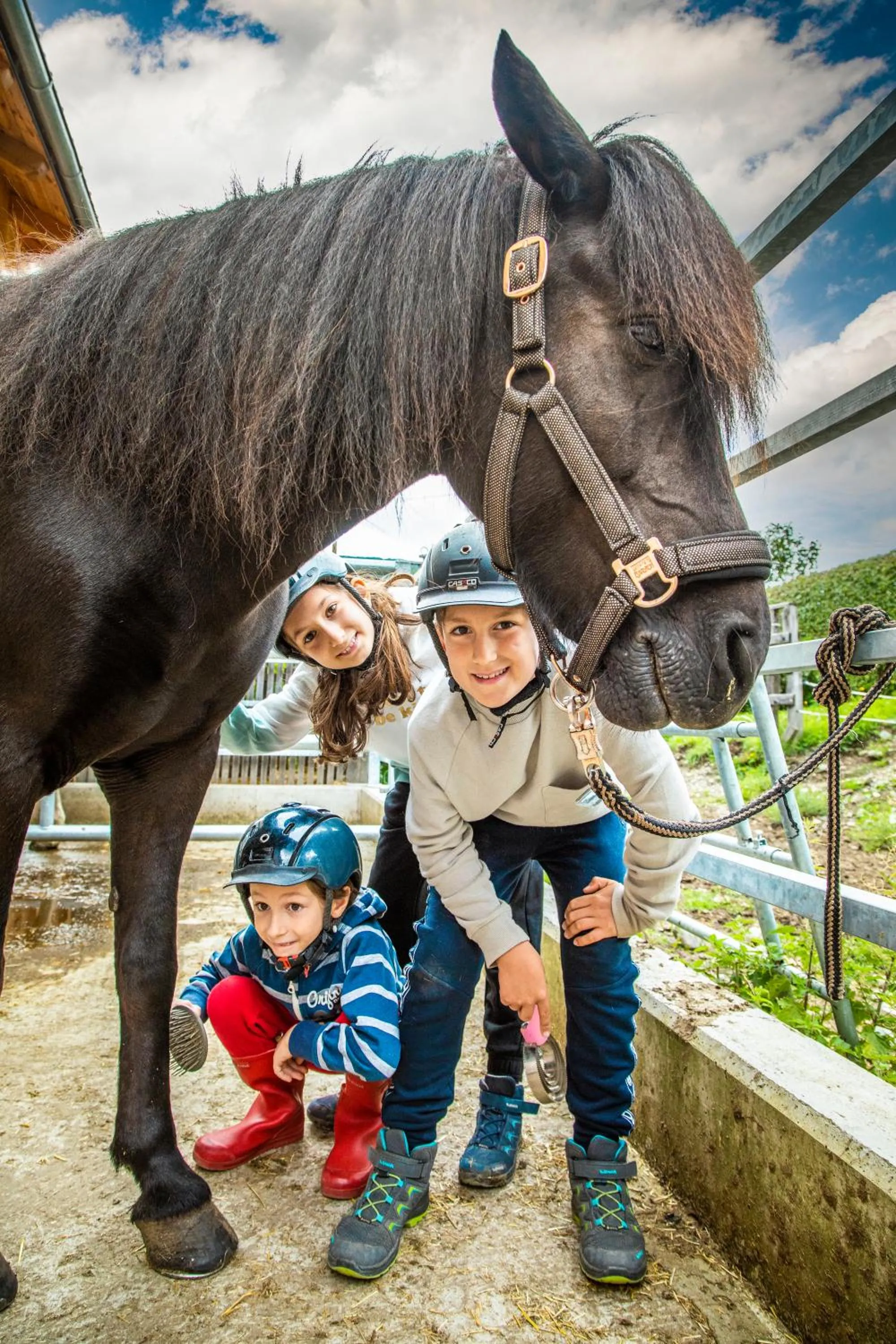 Animals in Biobauernhof Tonimörtl
