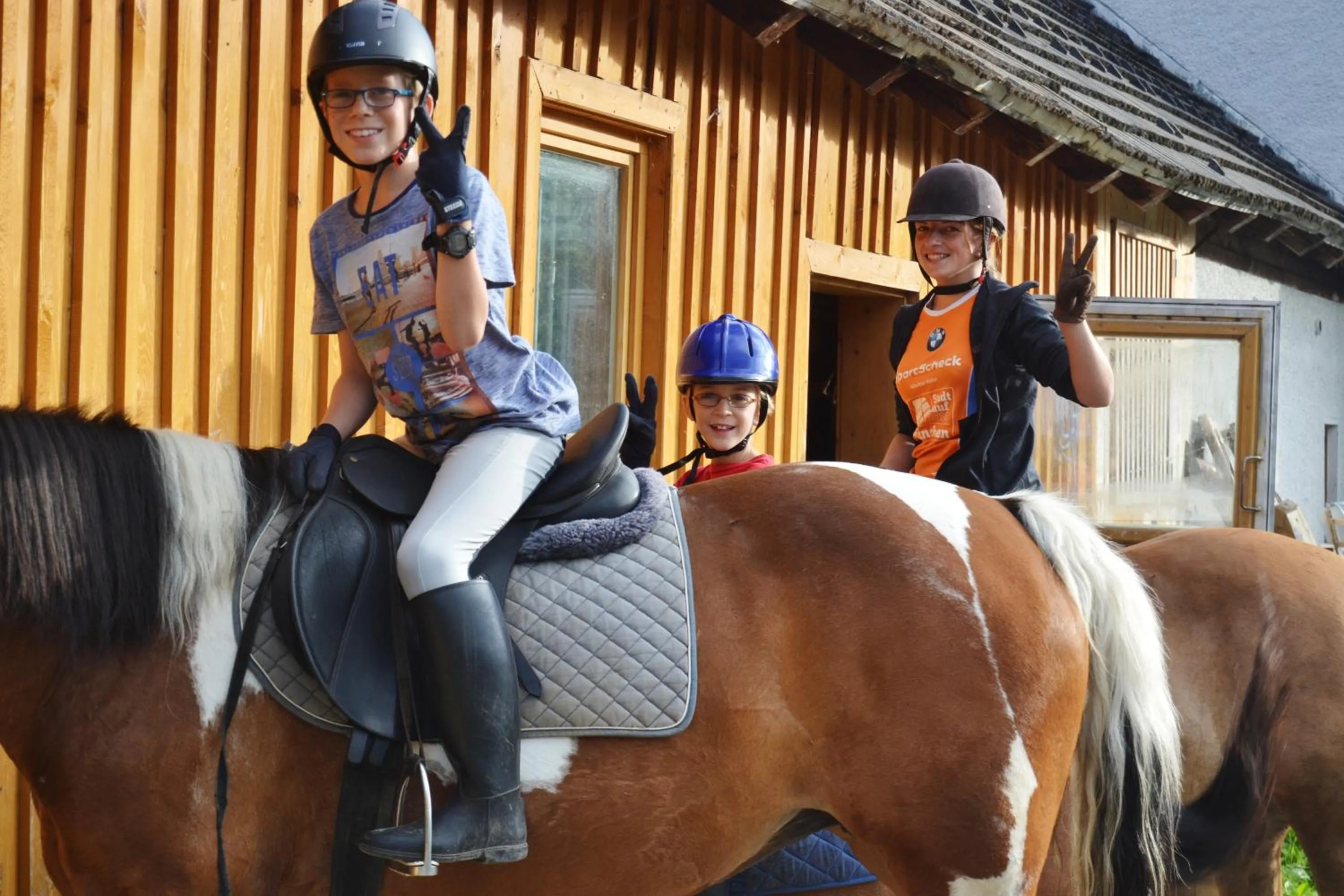 Horse-riding in Biobauernhof Tonimörtl