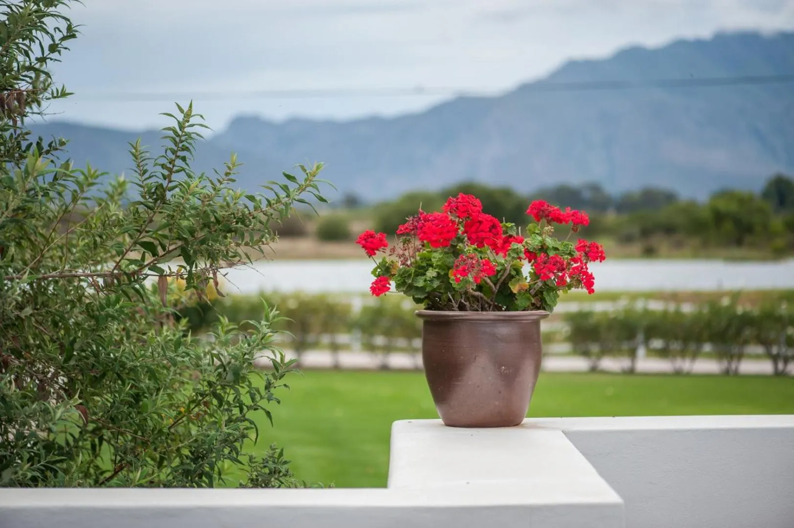 Balcony/Terrace in Excelsior Manor Guesthouse