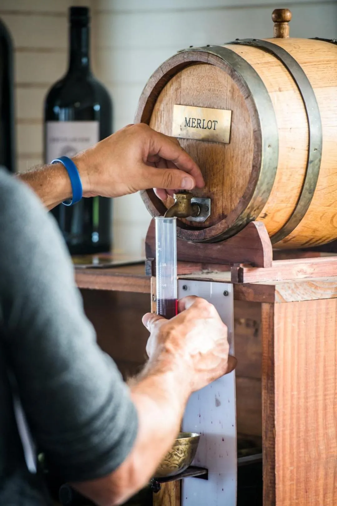 Activities in Excelsior Manor Guesthouse