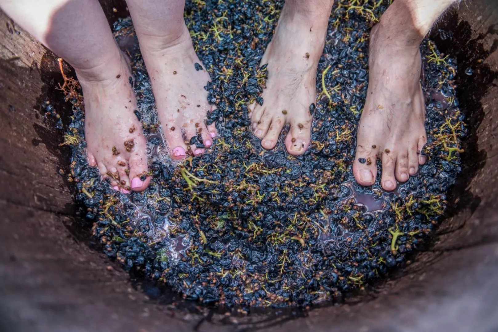 Activities in Excelsior Manor Guesthouse