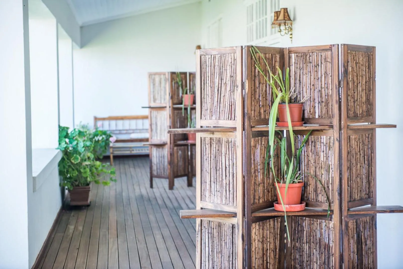Balcony/Terrace in Excelsior Manor Guesthouse