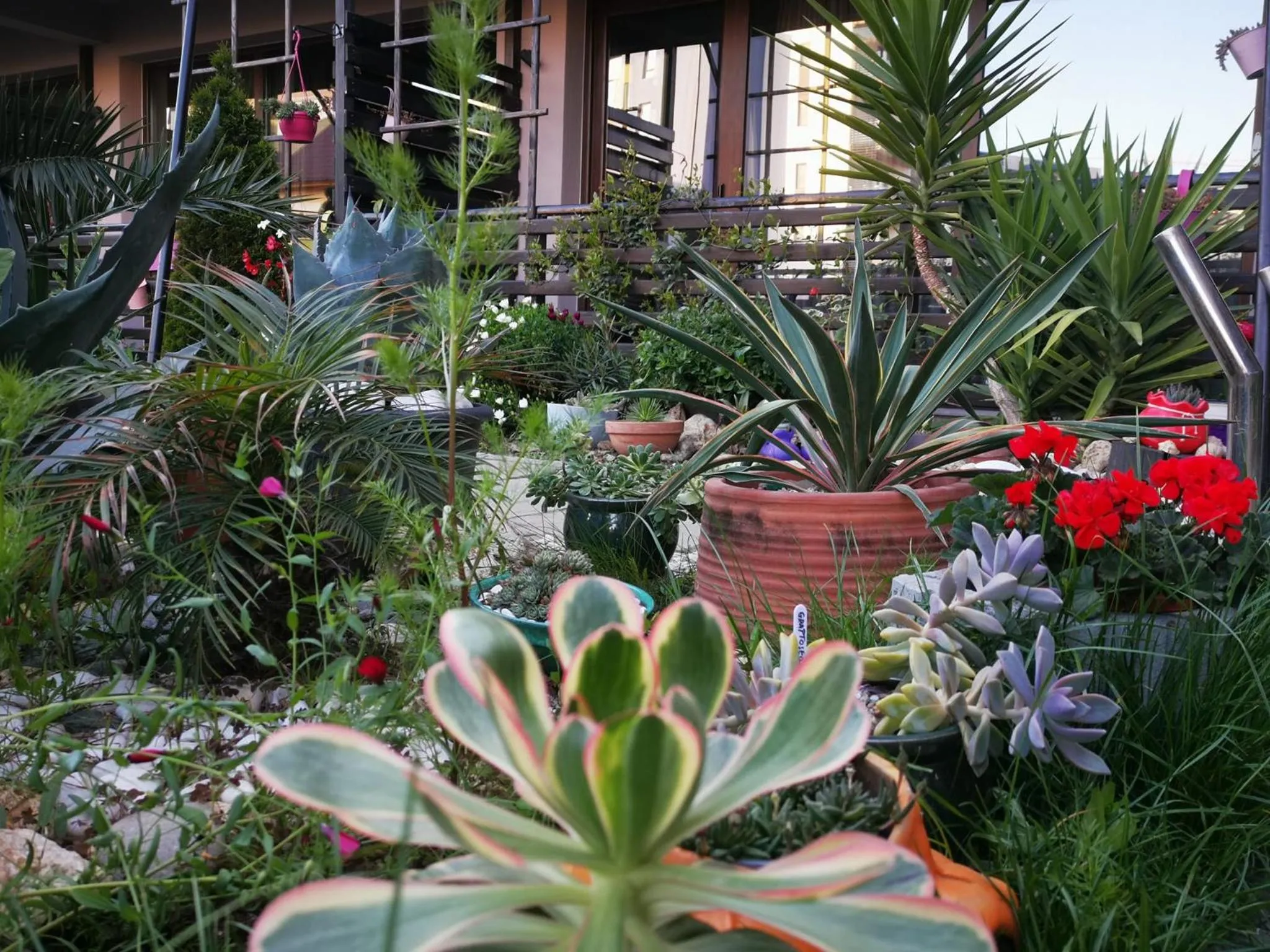 Dream Resort (Adults only 14+)