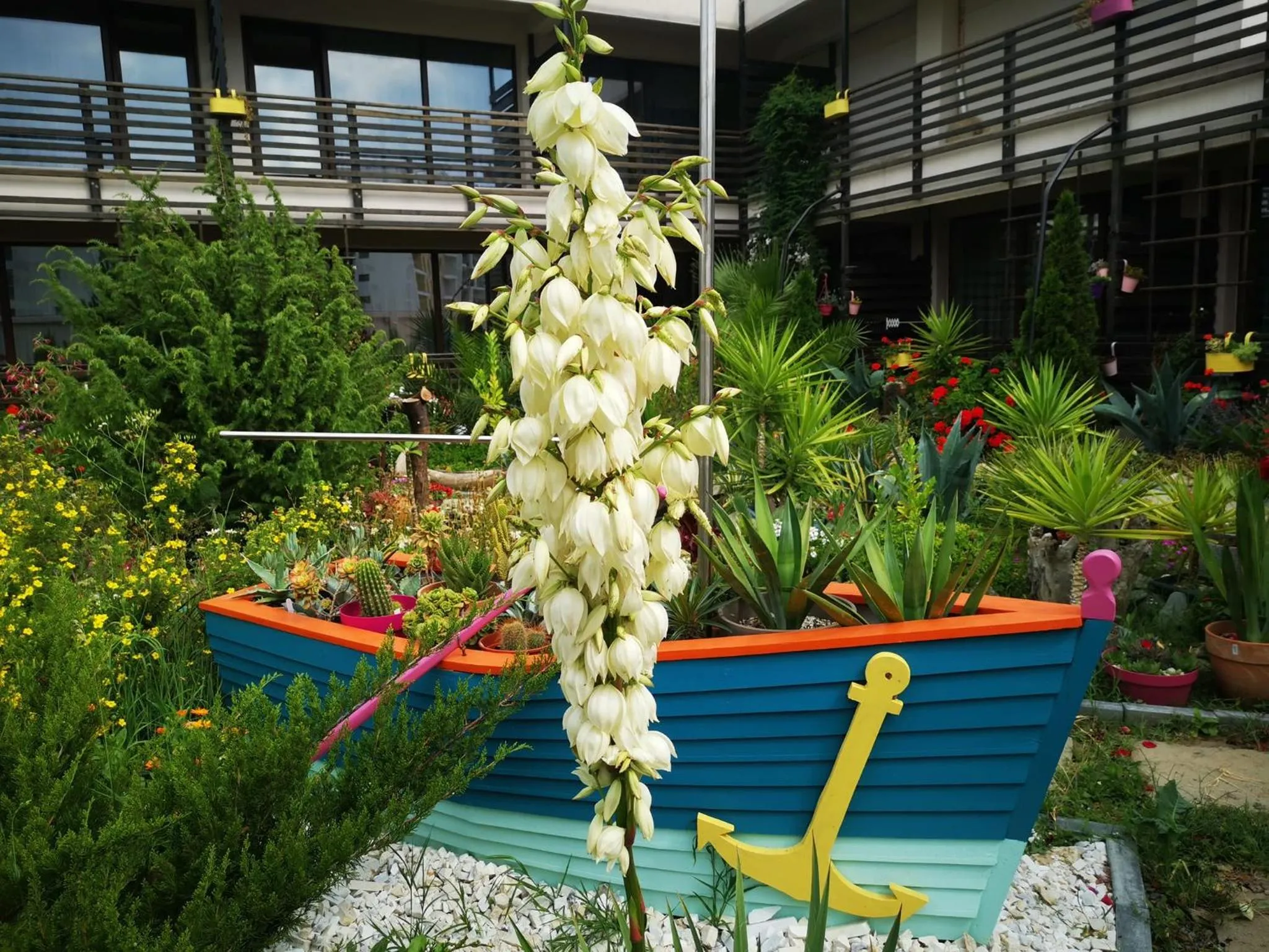 Dream Resort (Adults only 14+)