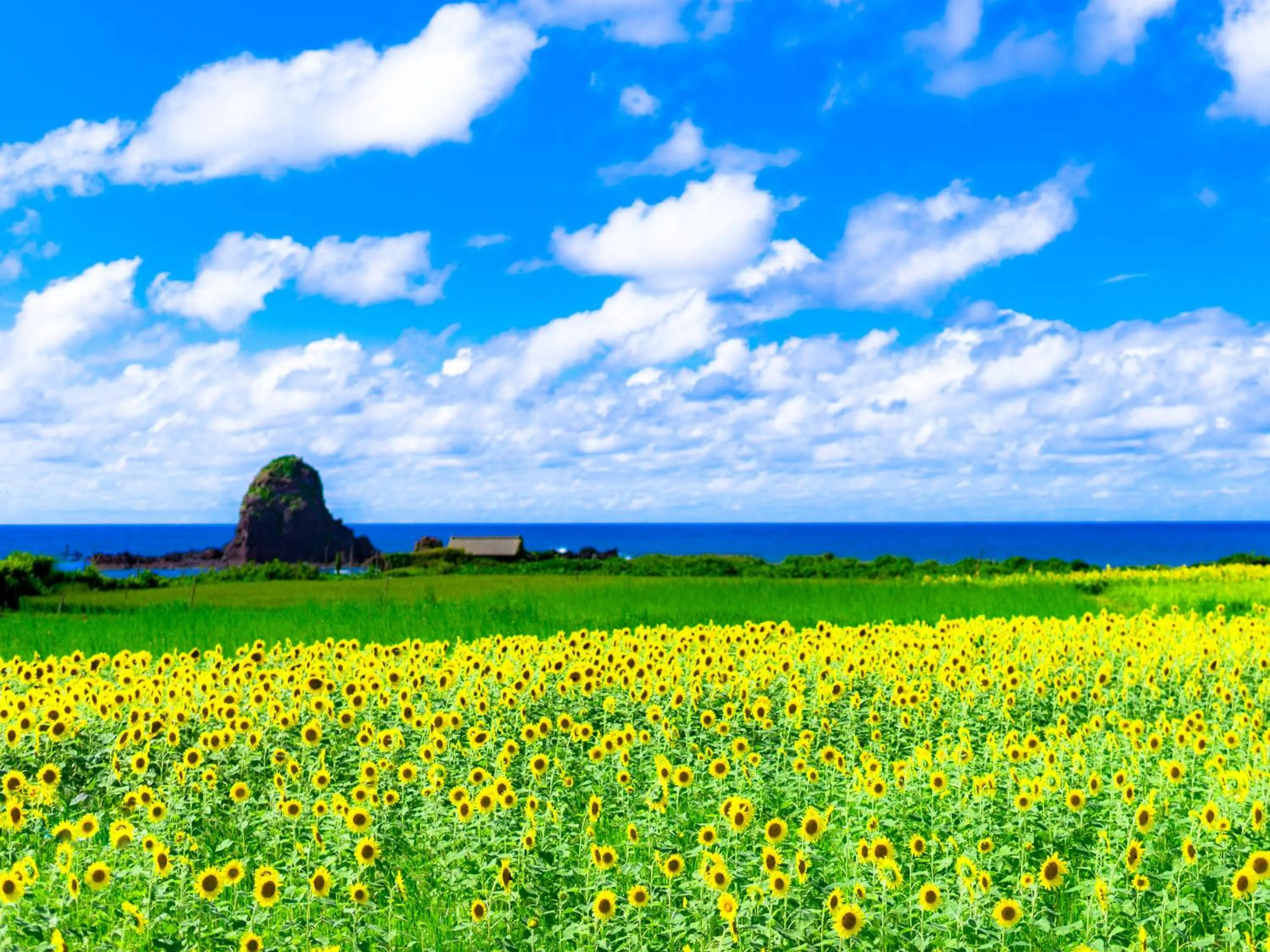 Nearby landmark in Hotel Oosado