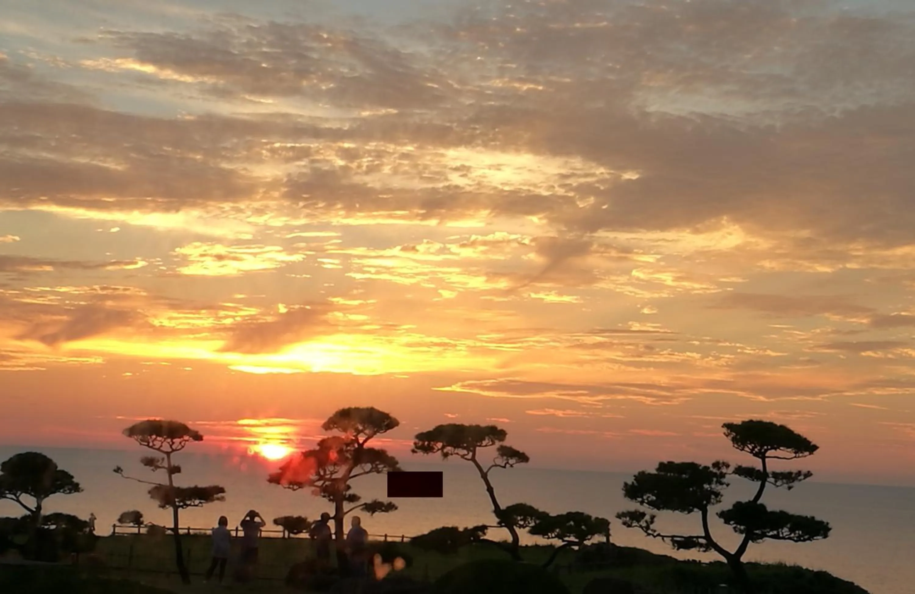 Sea view in Hotel Oosado