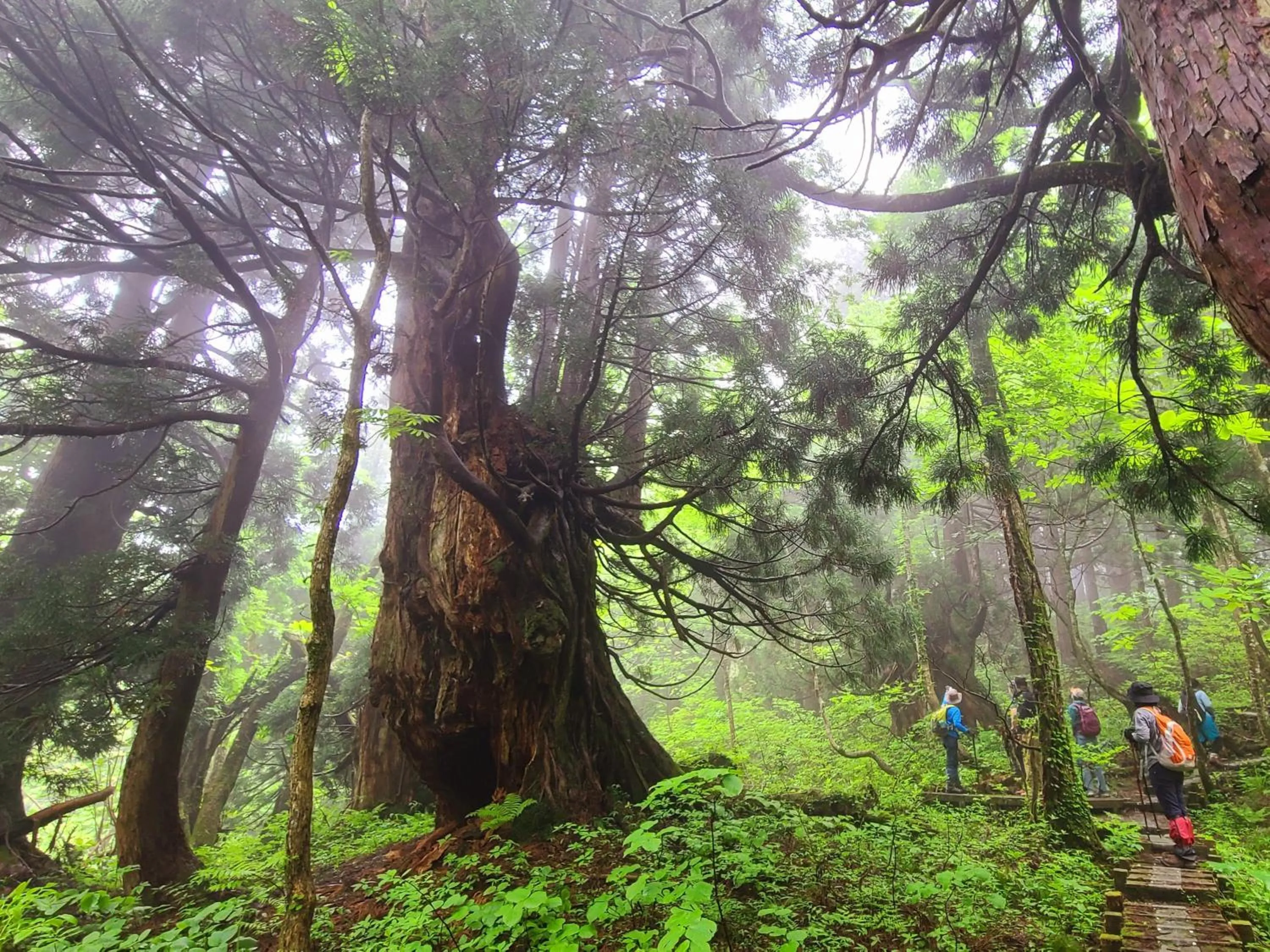 Nearby landmark in Hotel Oosado