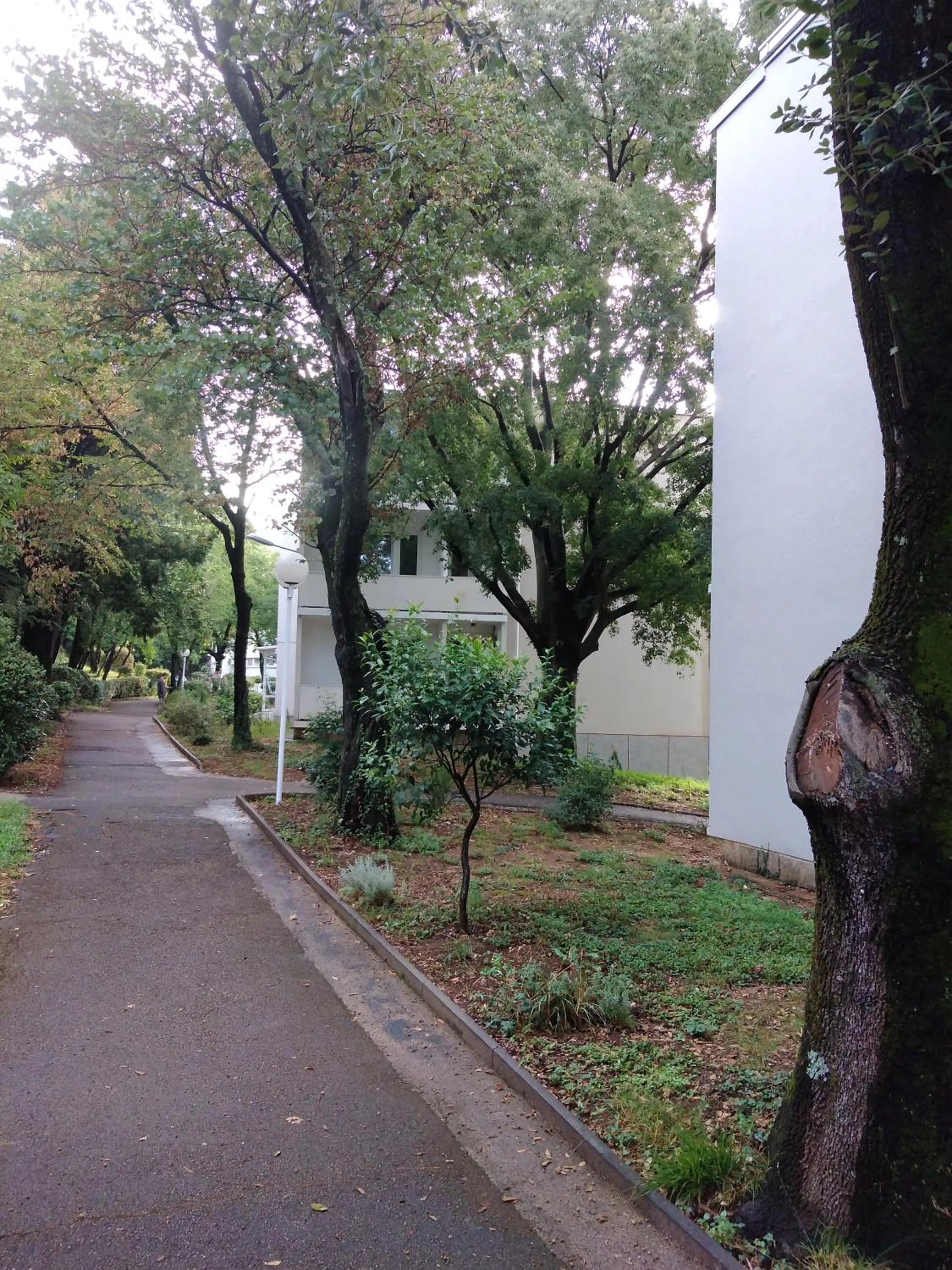 Property building in Boarding House Lucija