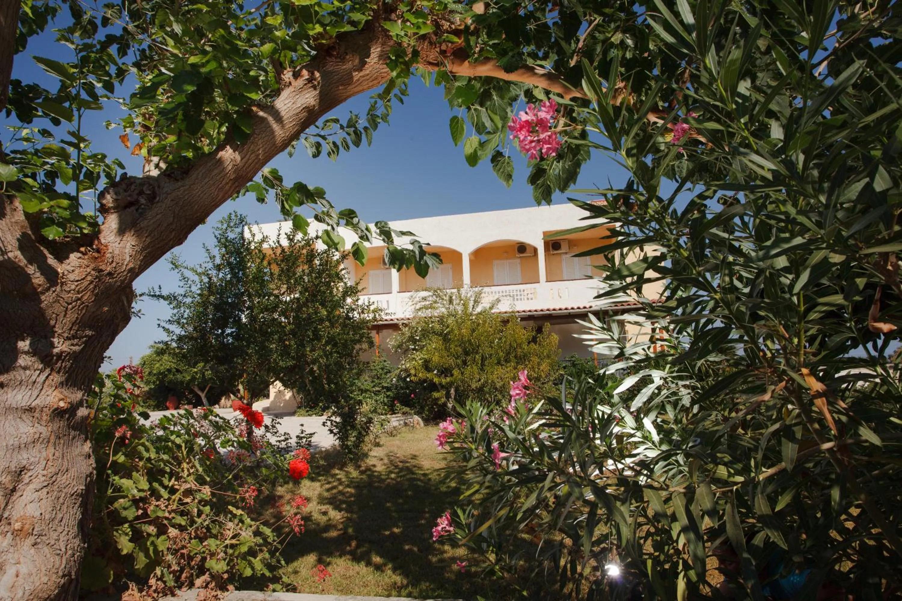 Bird's eye view in Babis Hotel