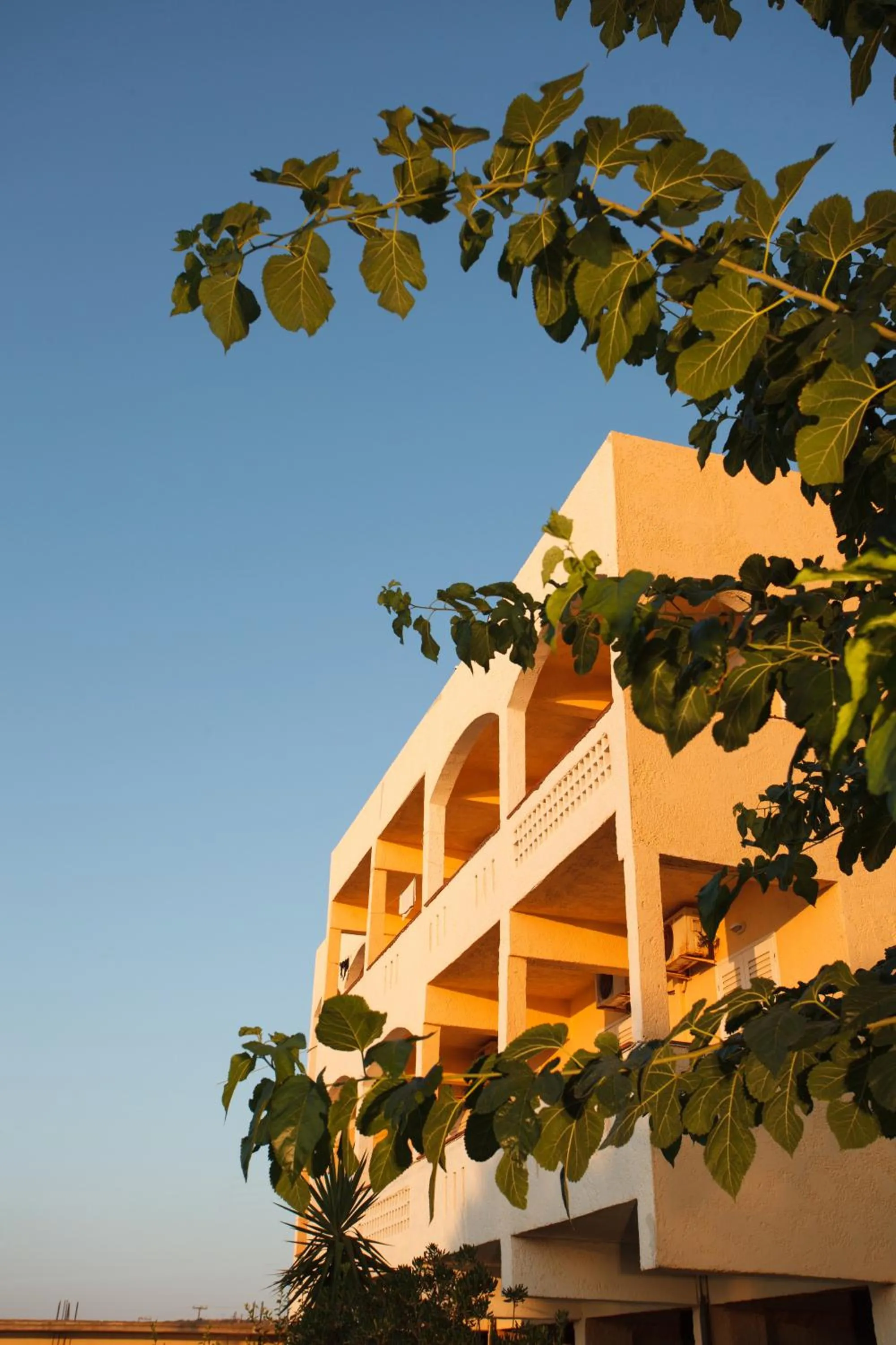 Bird's eye view in Babis Hotel