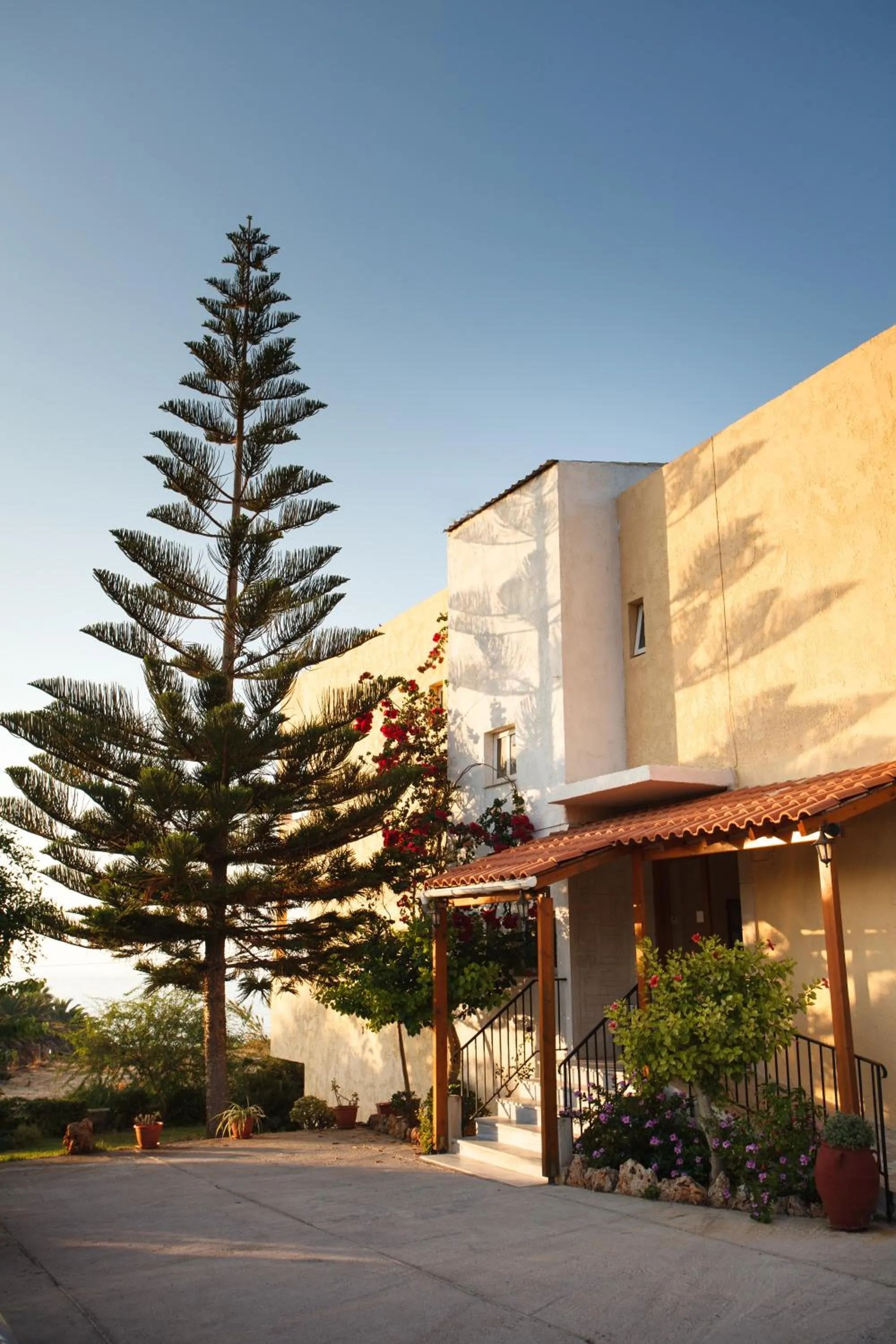 Bird's eye view in Babis Hotel