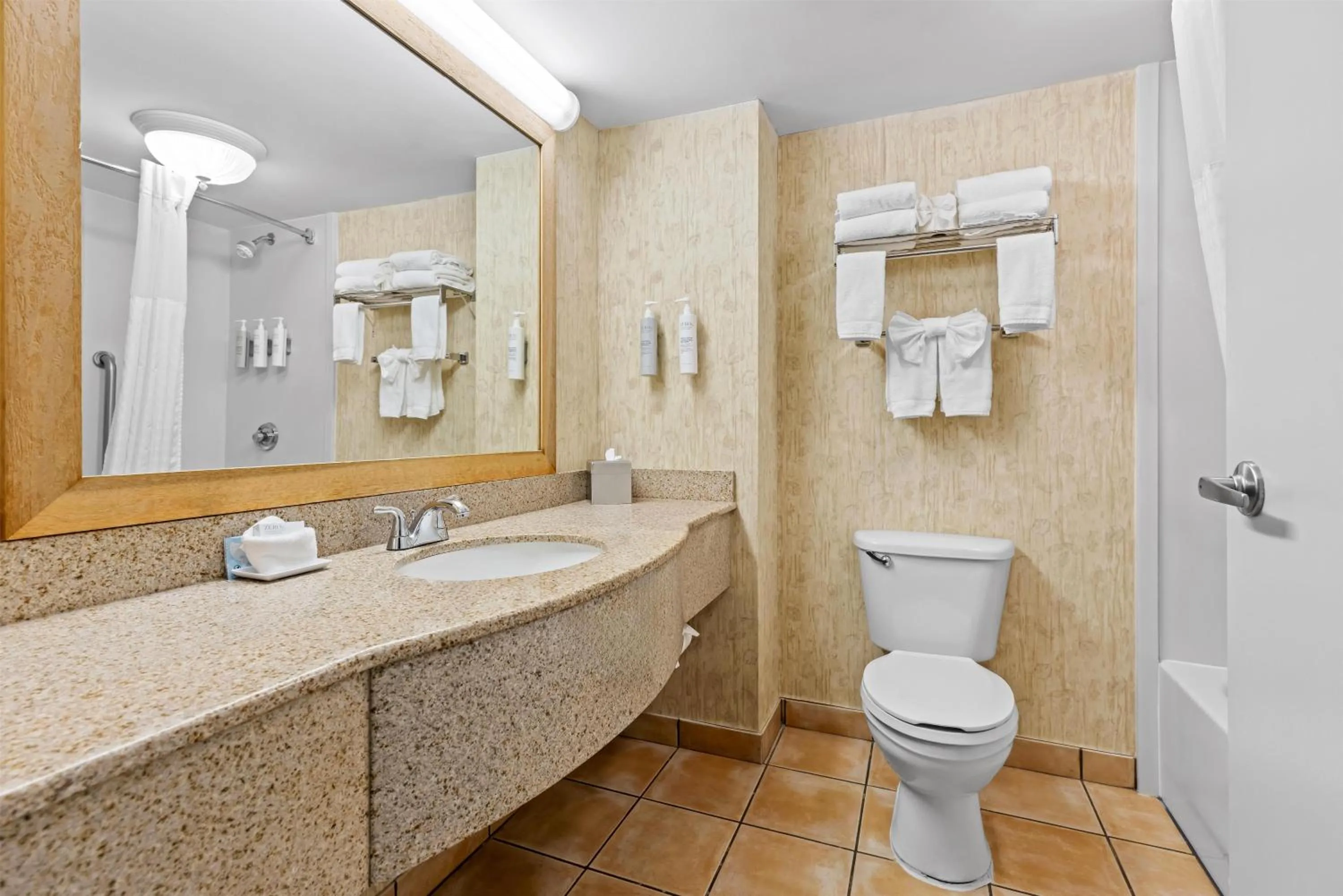 Bathroom in Hampton Inn Guntersville