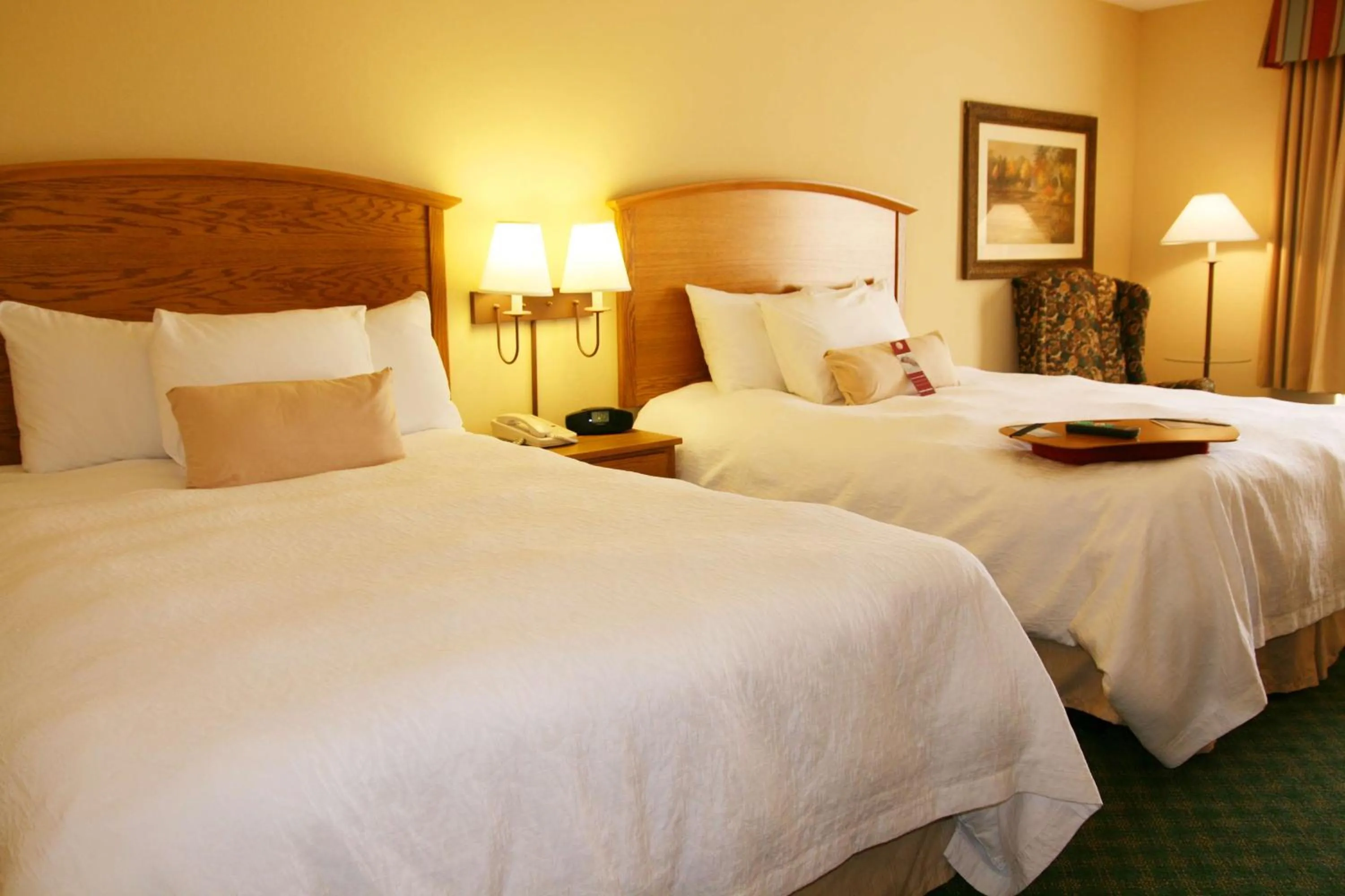 Bed in Hampton Inn Guntersville