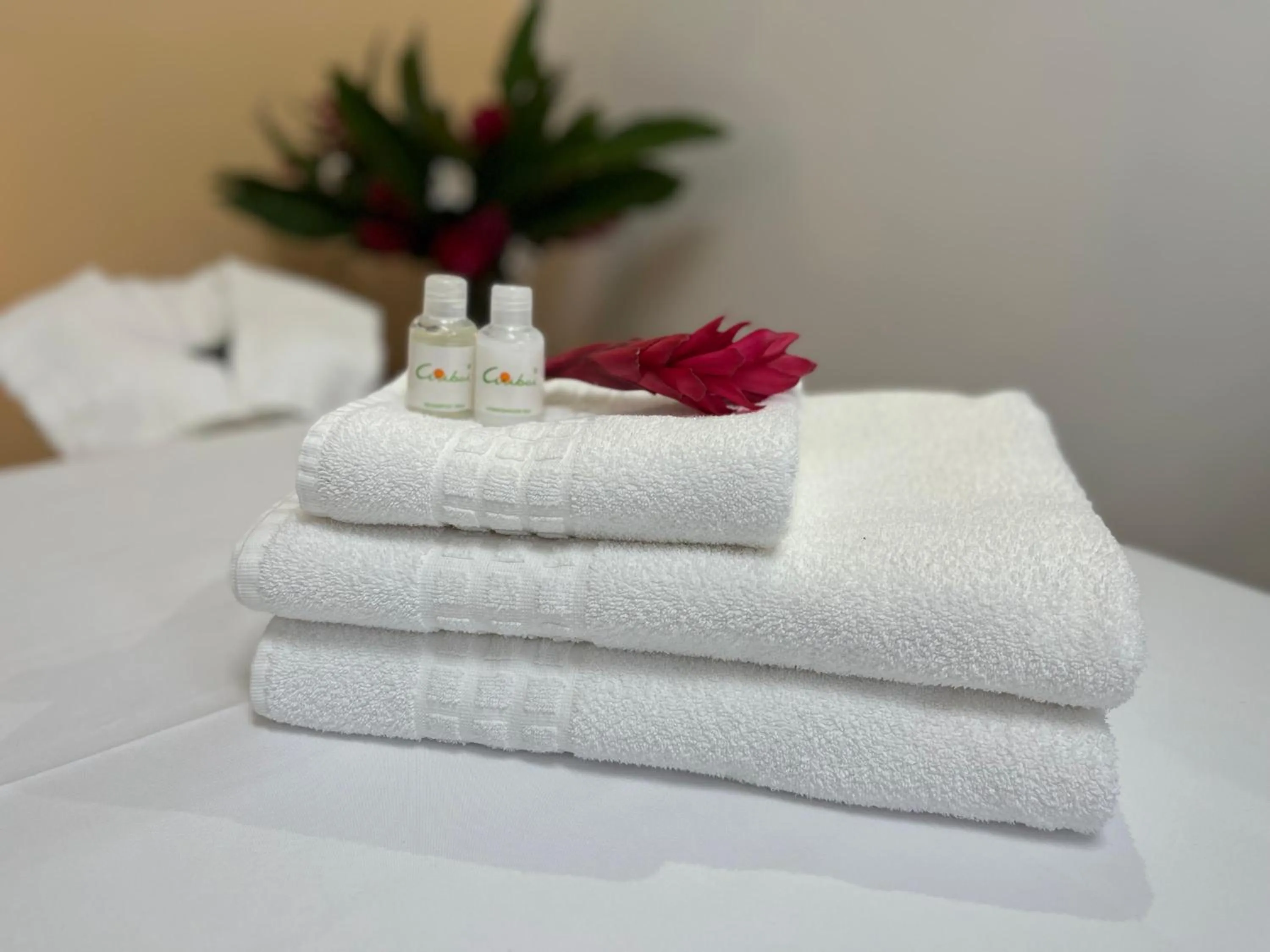 Massage in Ciribaí Praia Hotel