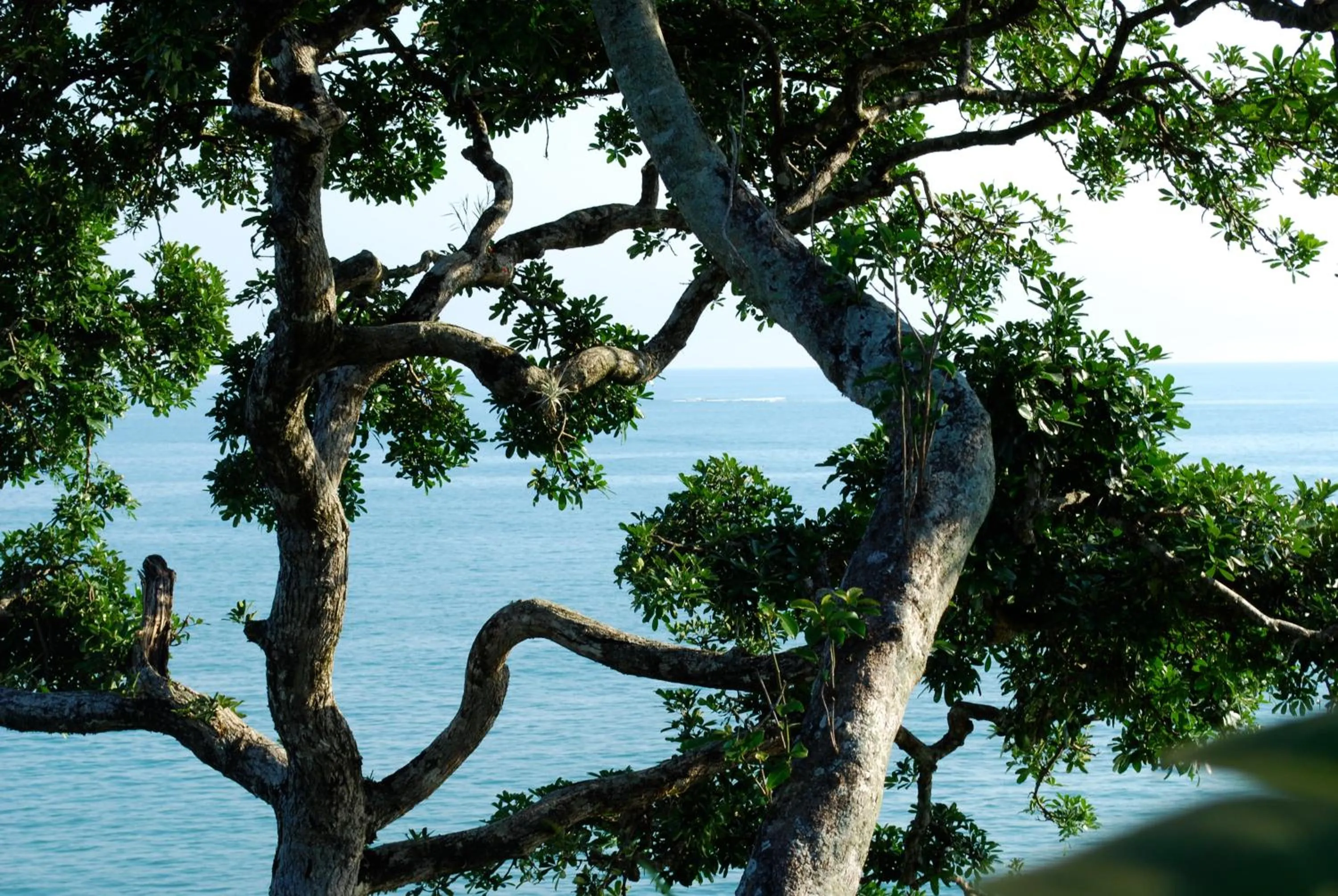 Beach in Ciribaí Praia Hotel