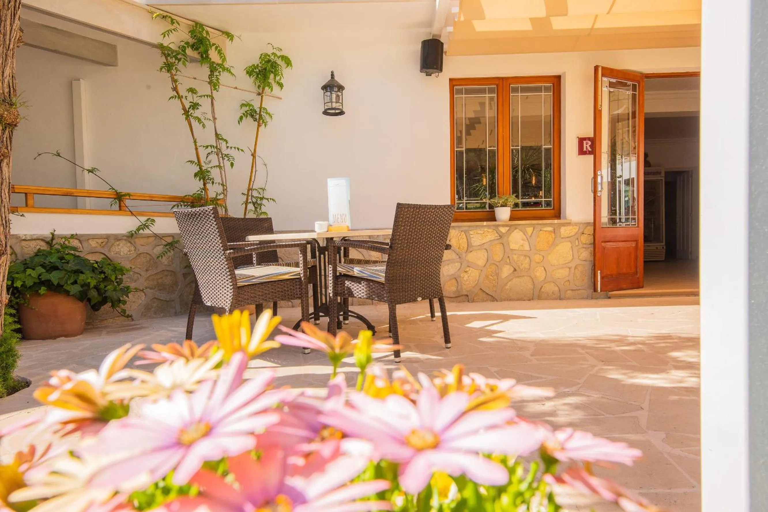 Patio in Hotel Playa Mondrago