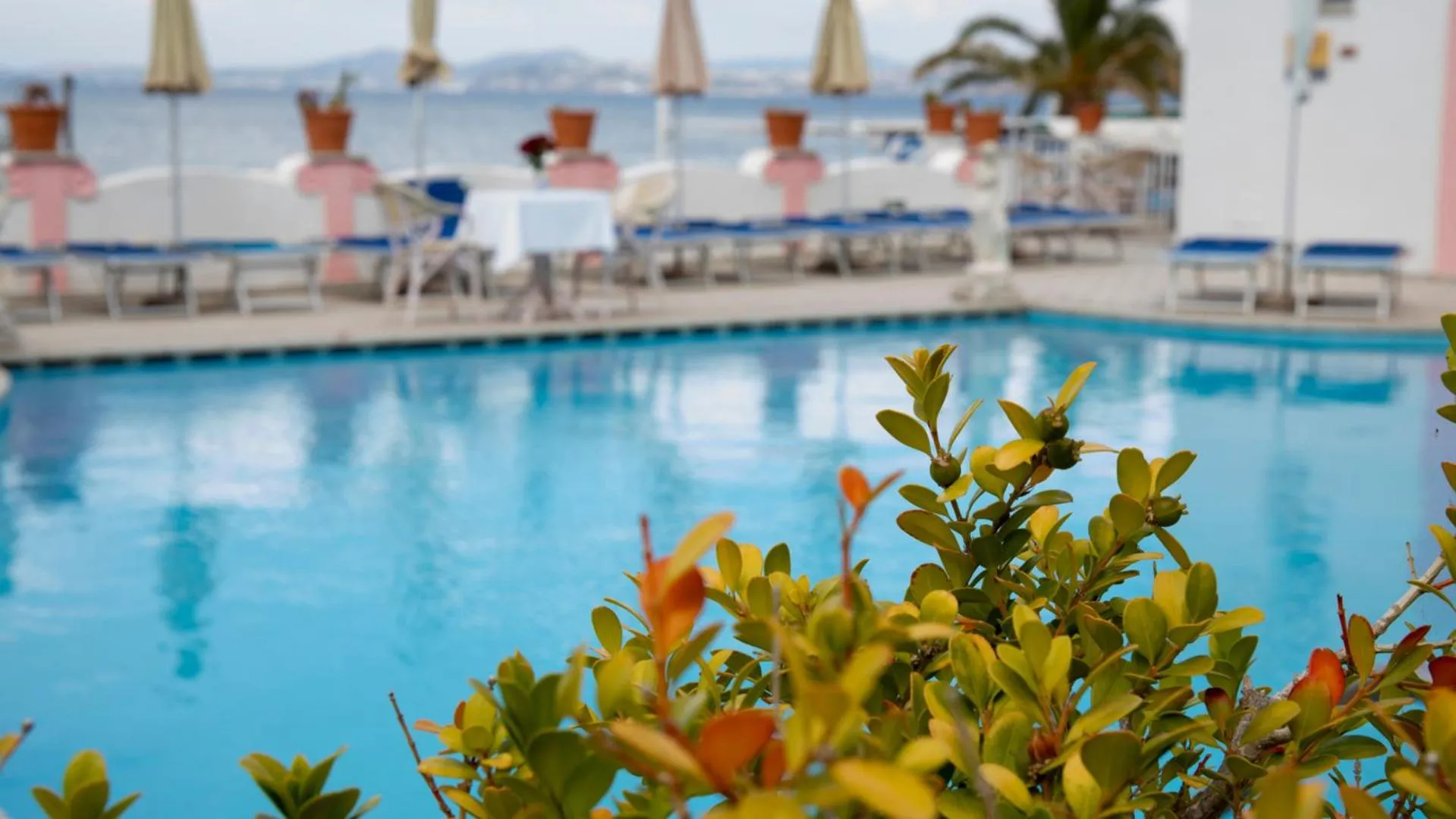 Pool view in Hotel Solemare Beach & Beauty SPA