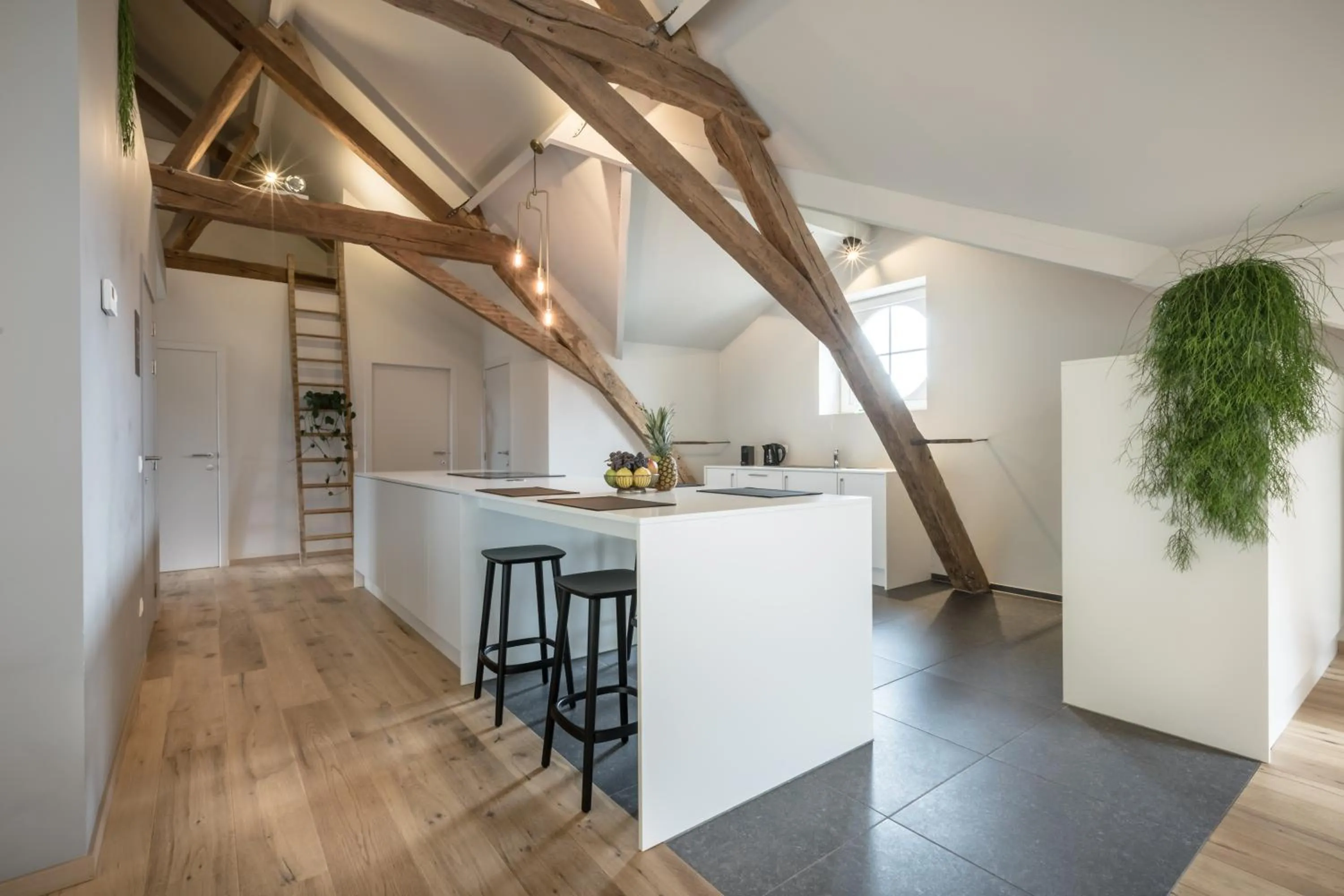 Kitchen or kitchenette in Logement Den Beer