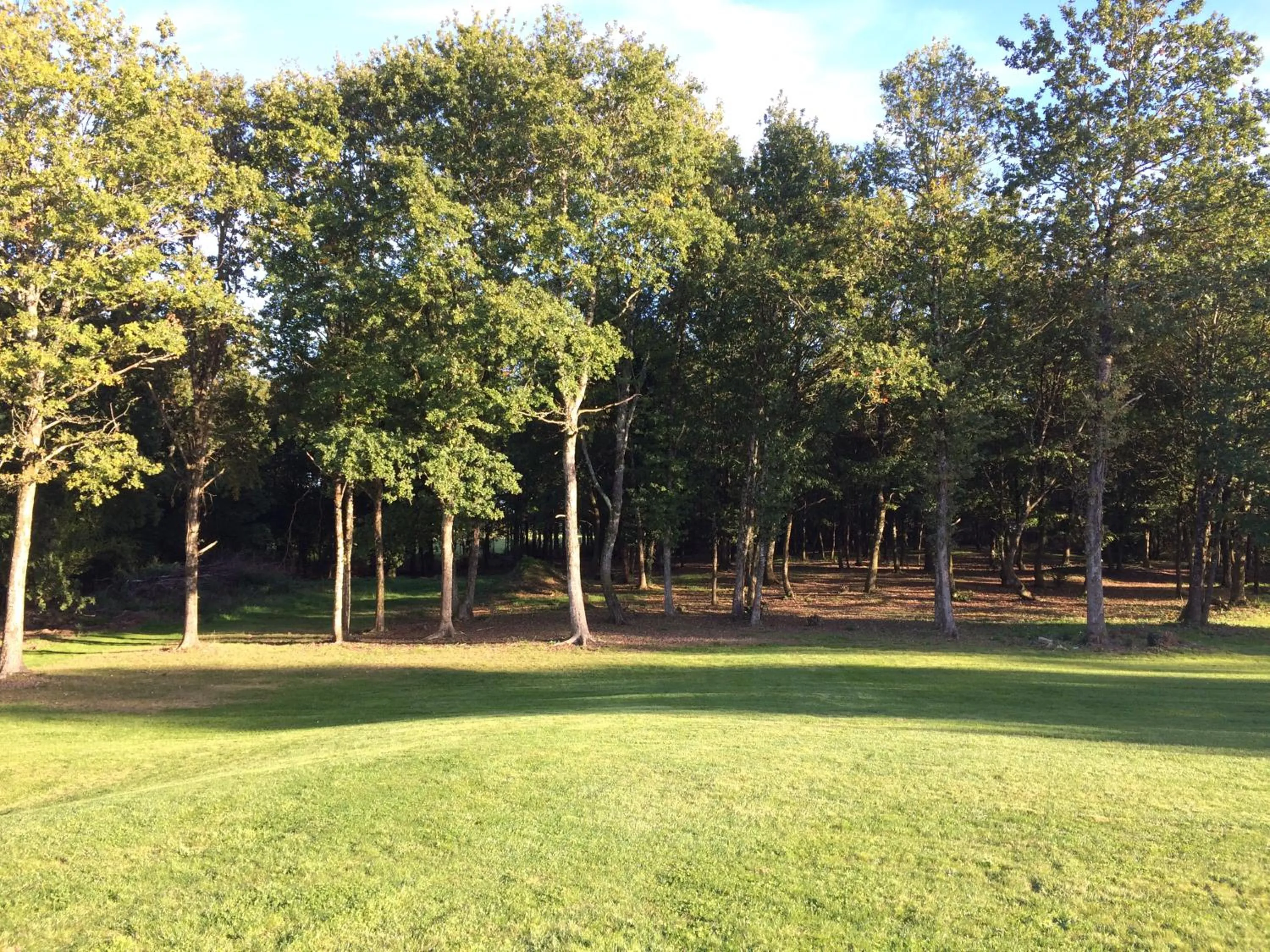 Garden in Domaine Georges V