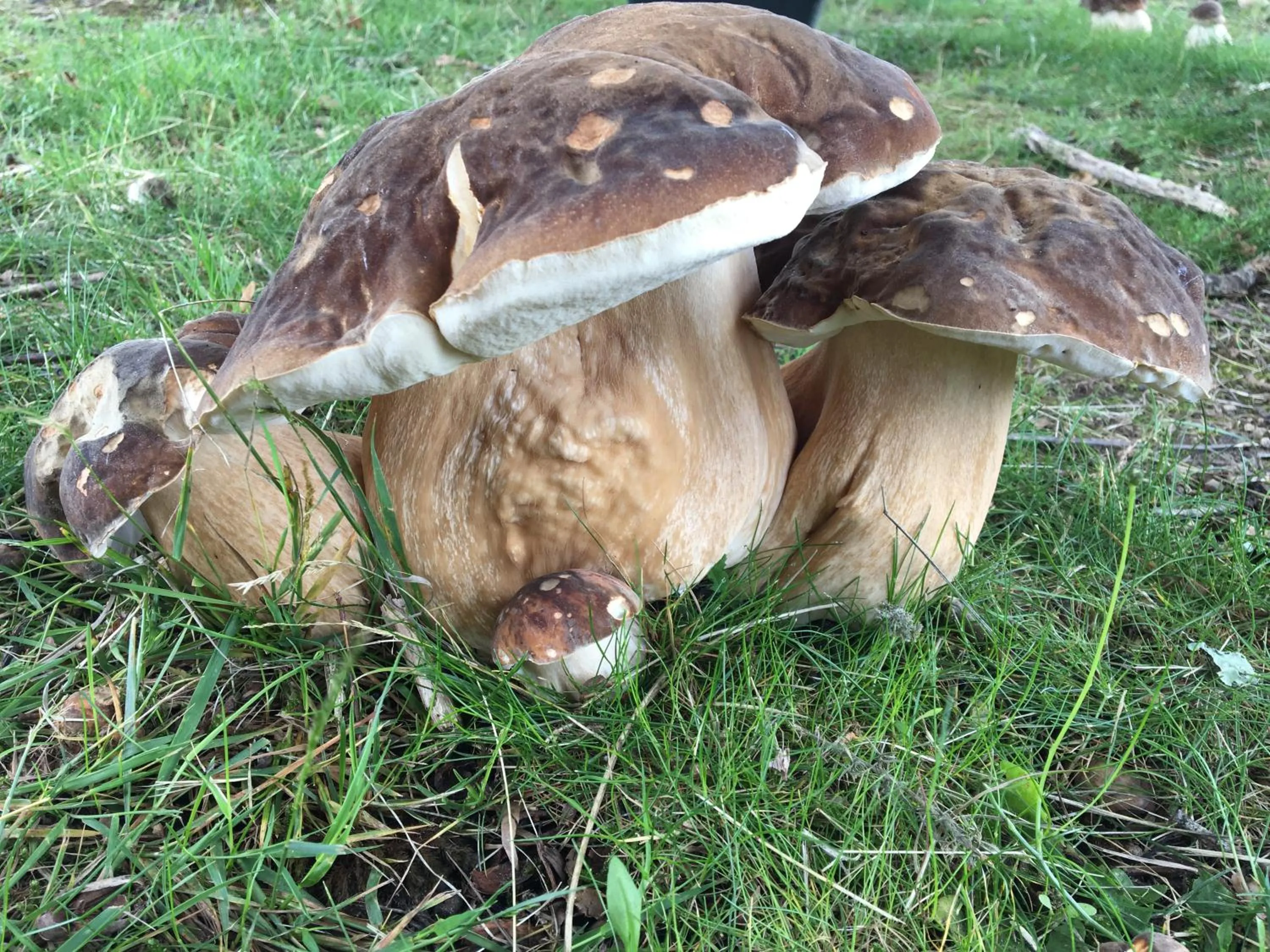 Natural landscape in Domaine Georges V