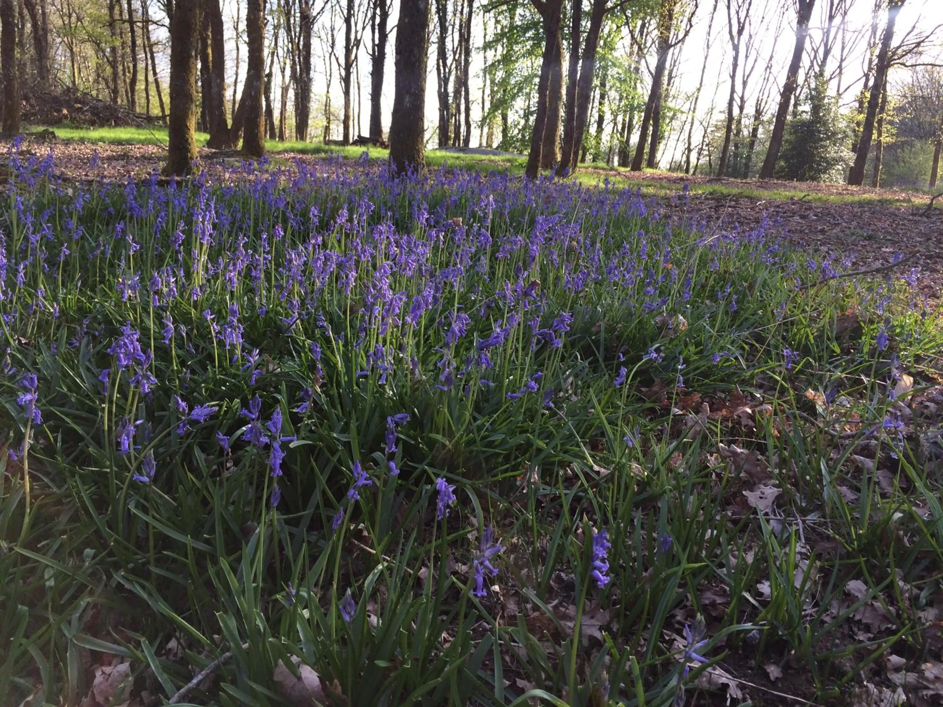 Area and facilities in Domaine Georges V