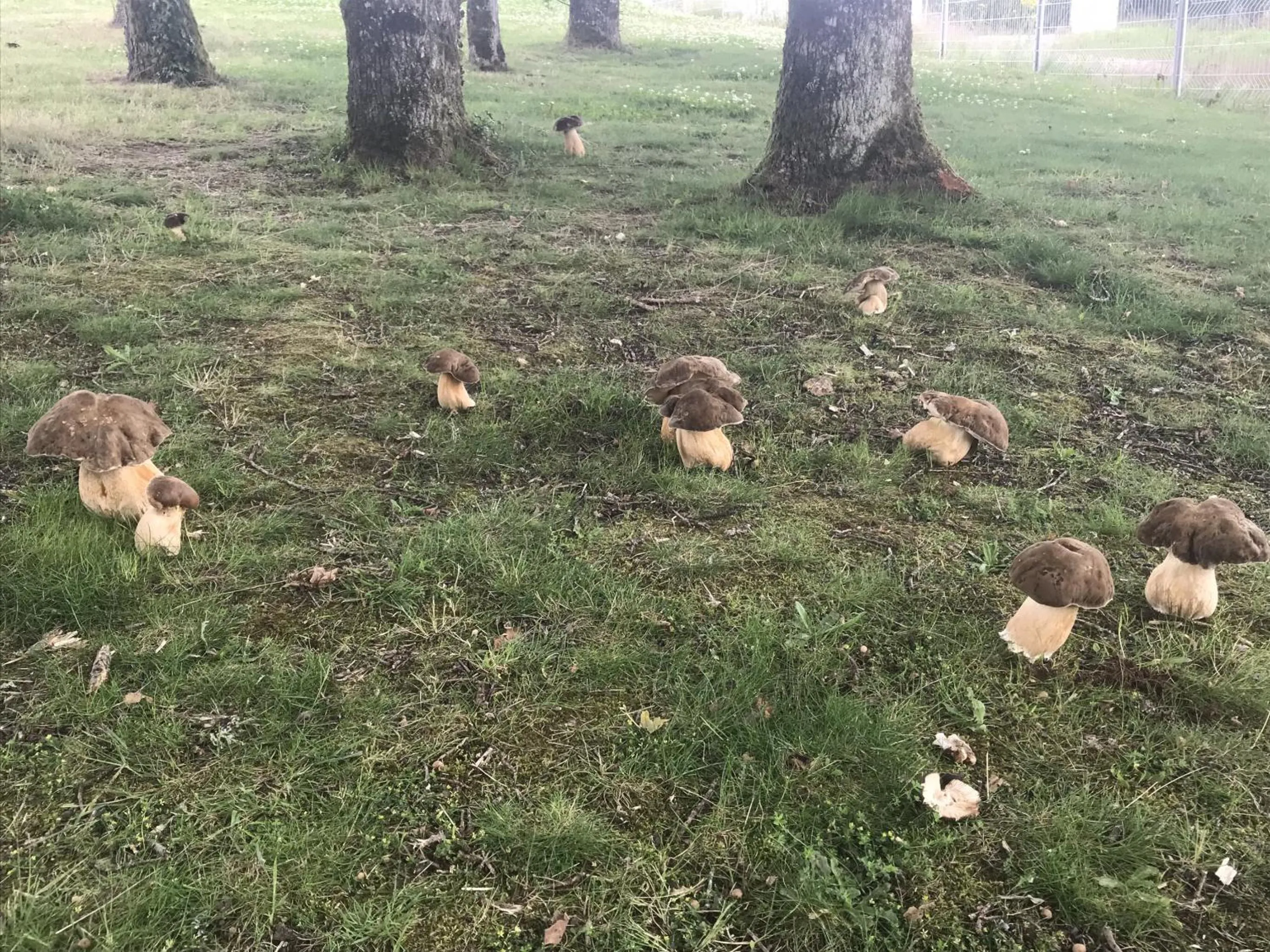 Natural landscape in Domaine Georges V