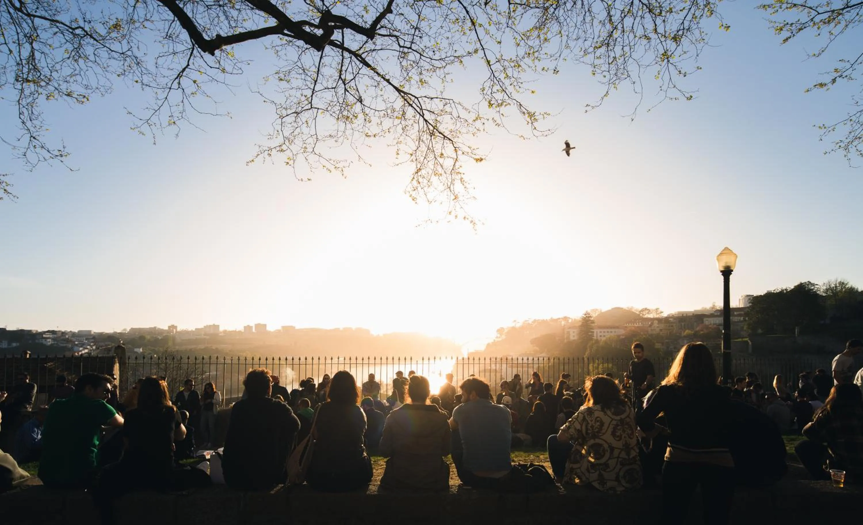 Other in Virtudes City Lofts