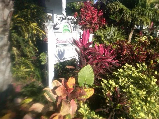 Coconut Beach Resort