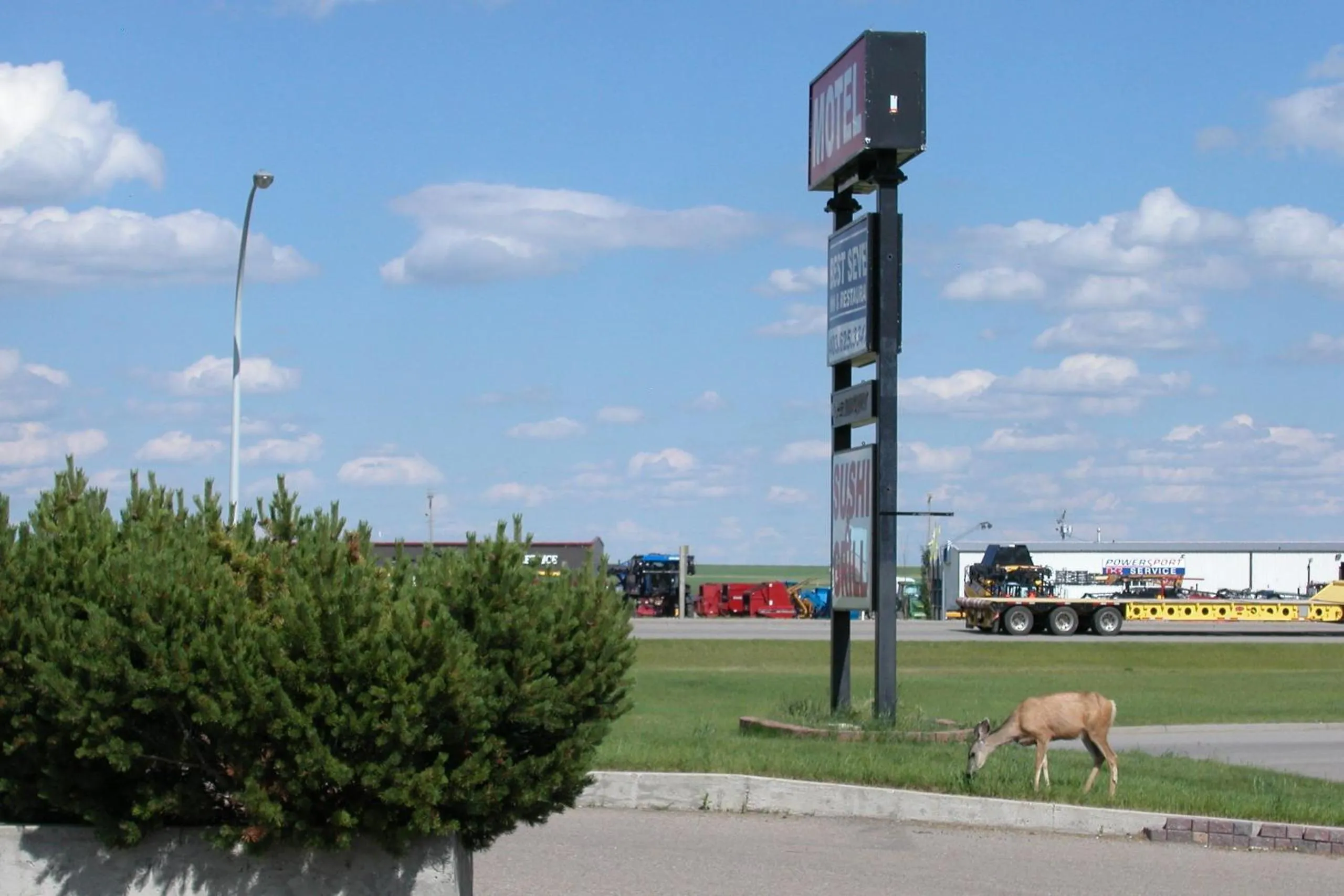Bird's eye view in Best Seven Inn