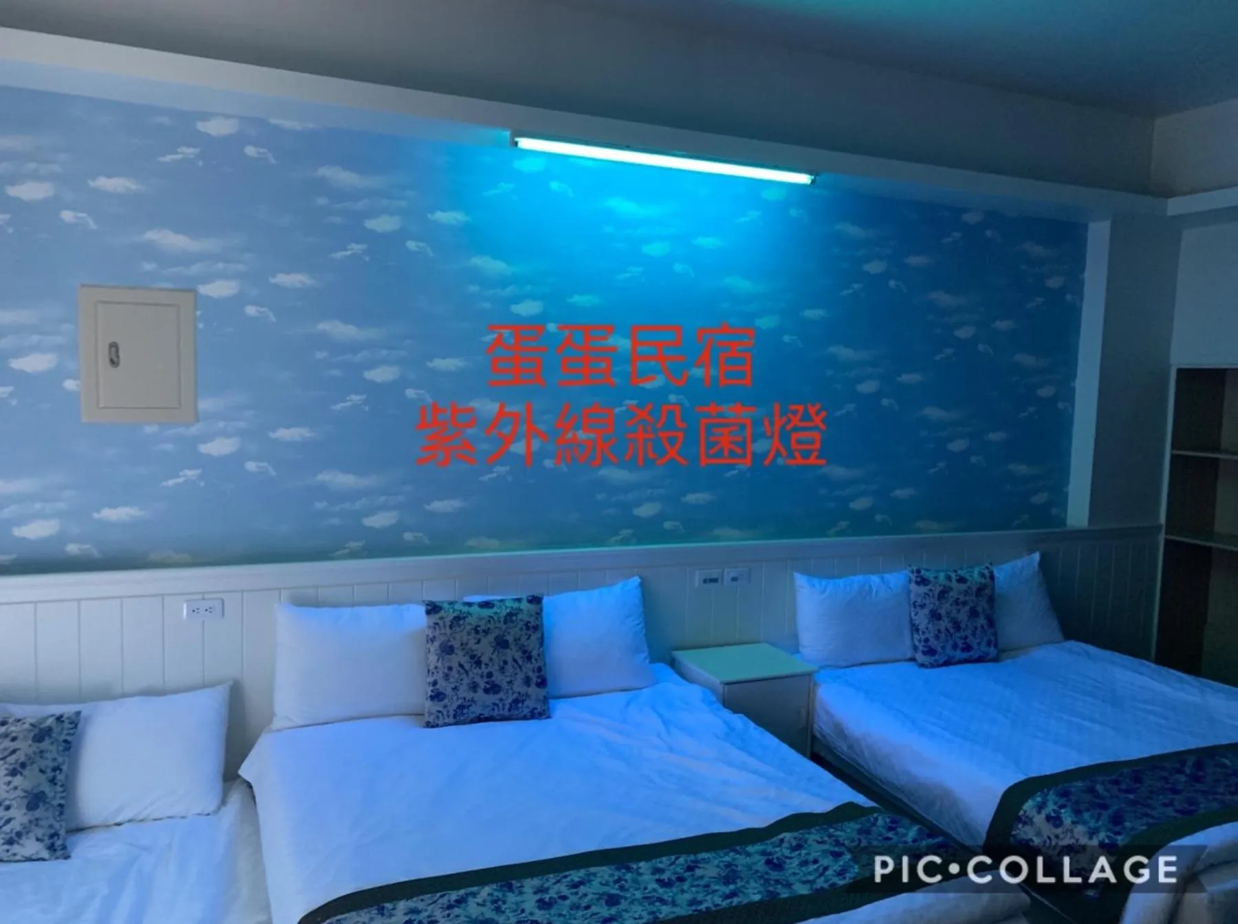 Bedroom in The Hide Bed and breakfast