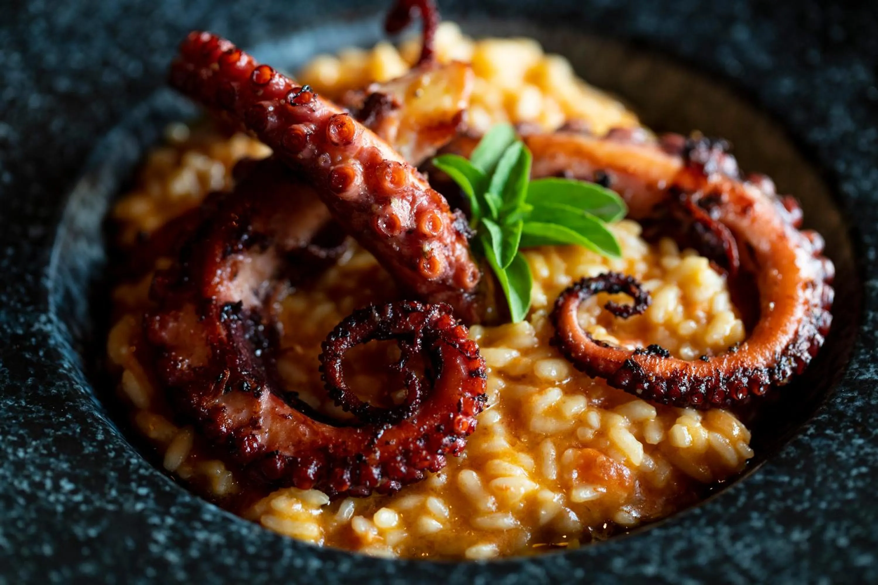 Restaurant/places to eat in B Hotel Brasilia