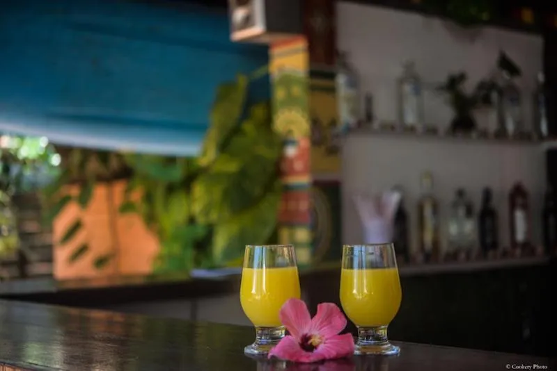 Barracuda Eco Resort Búzios