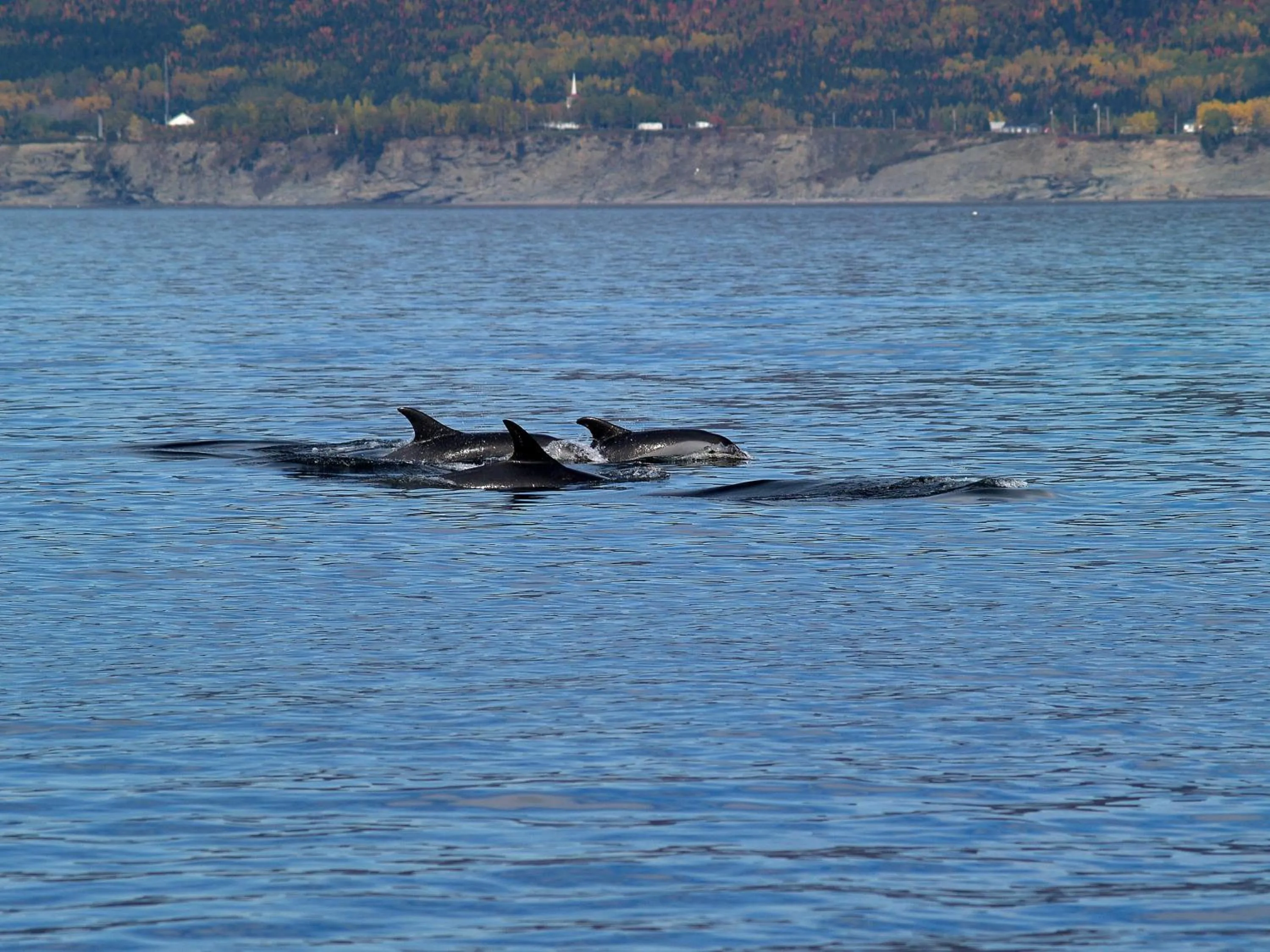 Area and facilities in Restaurant-Motel L'Etoile du Nord