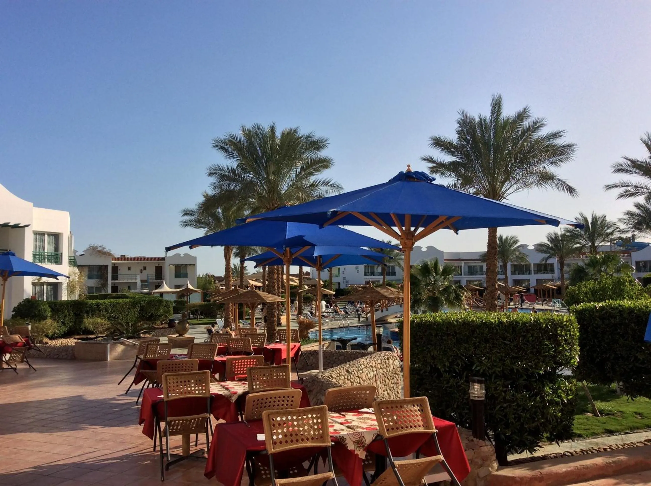 Restaurant/places to eat in Panorama Naama Heights