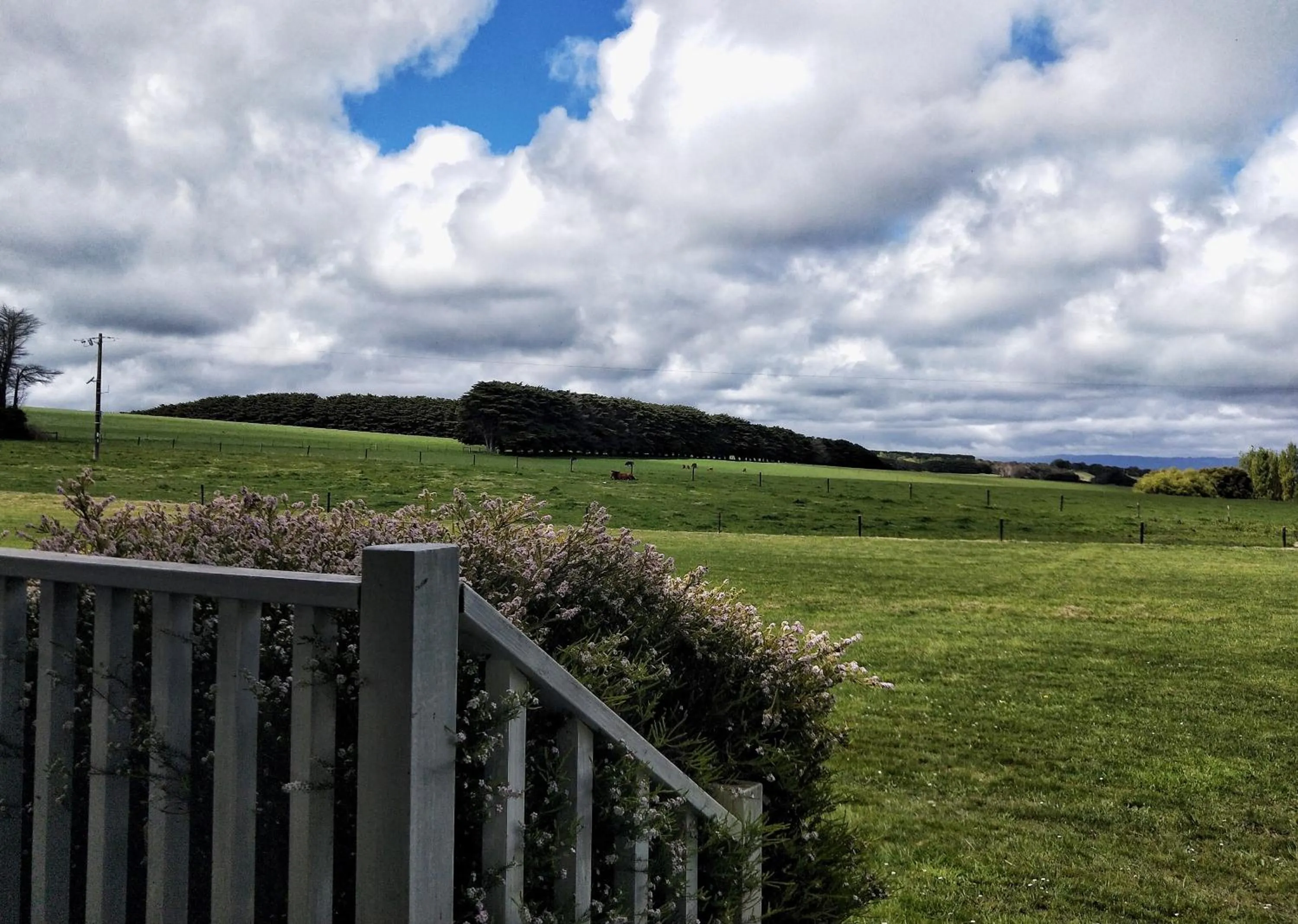 Natural landscape in Twelve Apostles Motel & Country Retreat