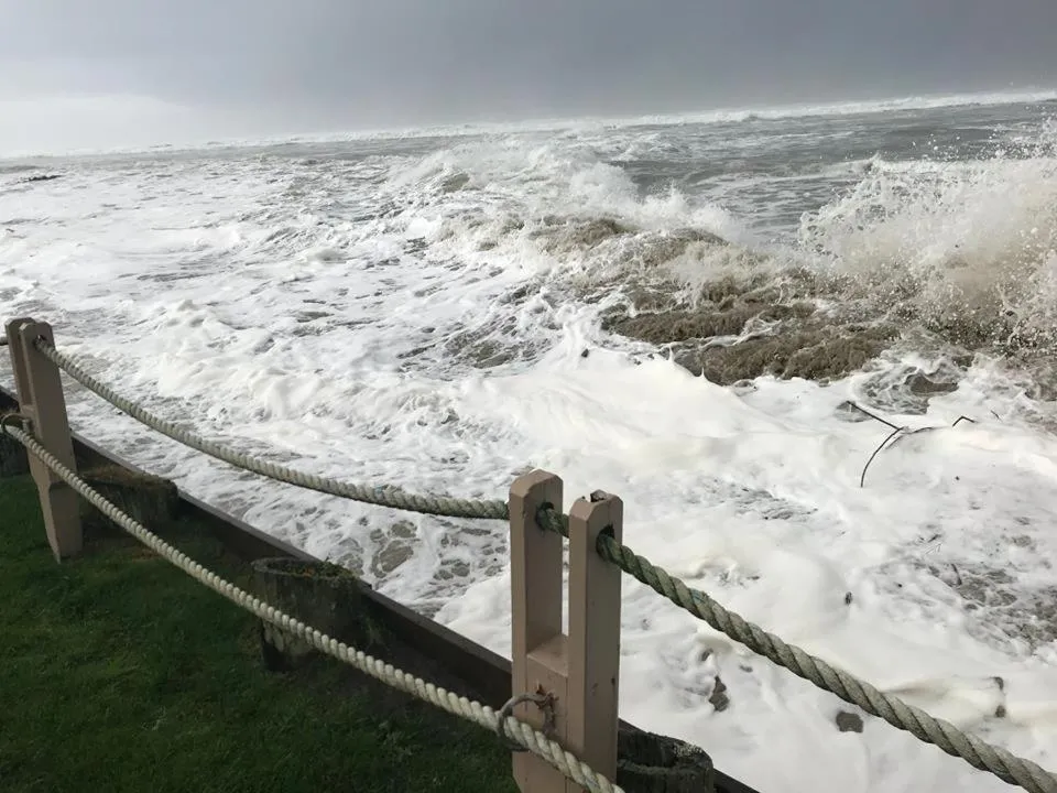 Garden in Webb's Scenic Surf