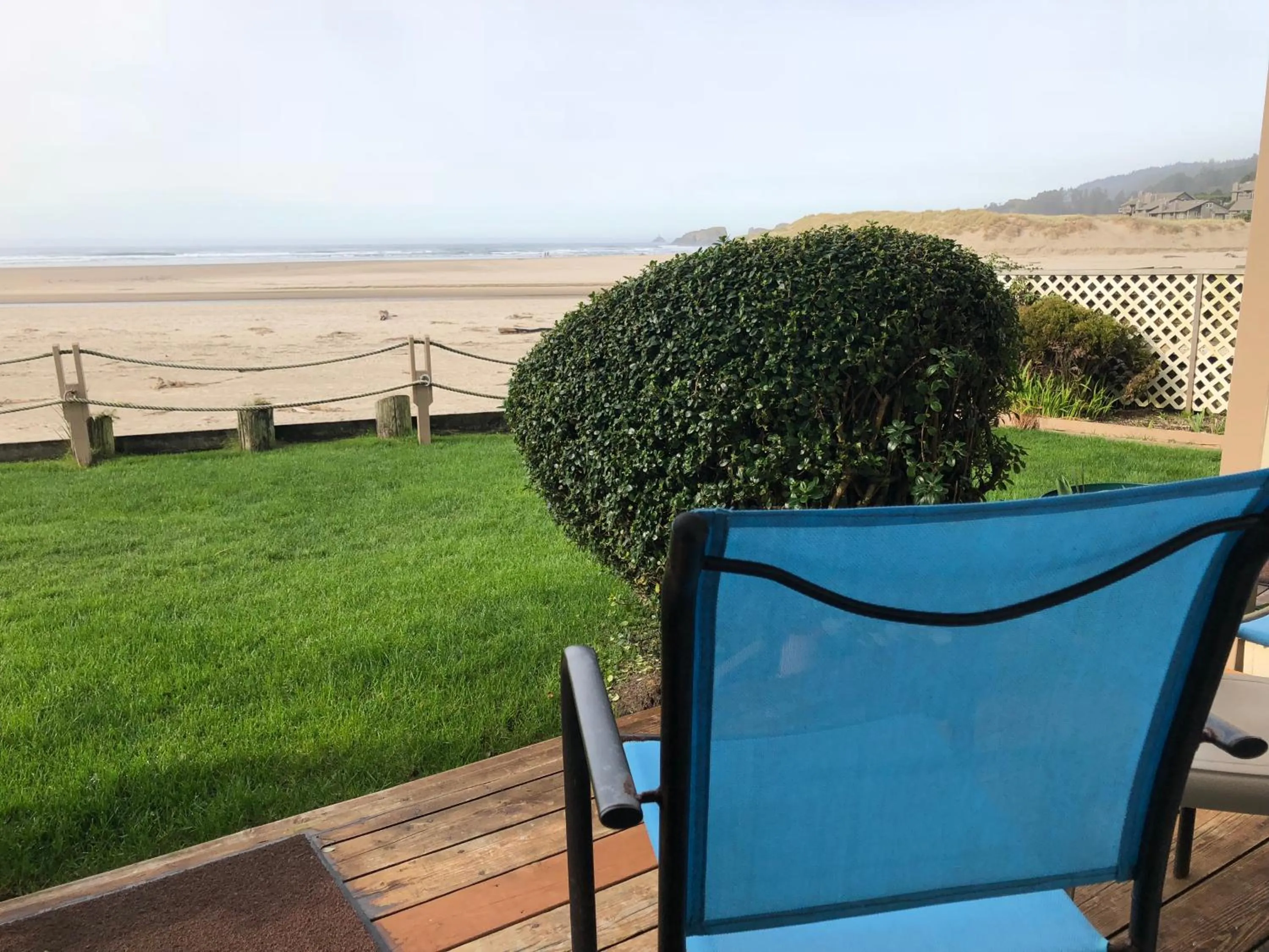 Garden in Webb's Scenic Surf