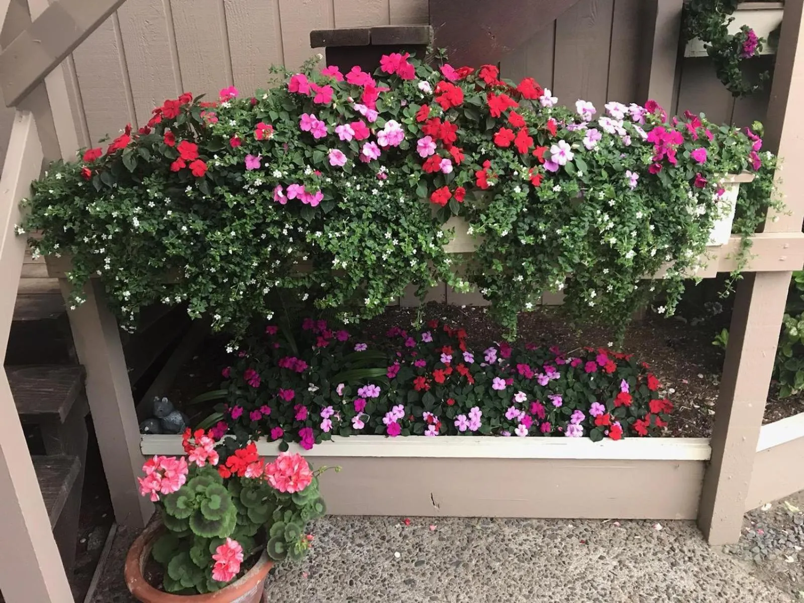 Garden in Webb's Scenic Surf
