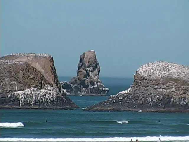 Natural landscape in Webb's Scenic Surf