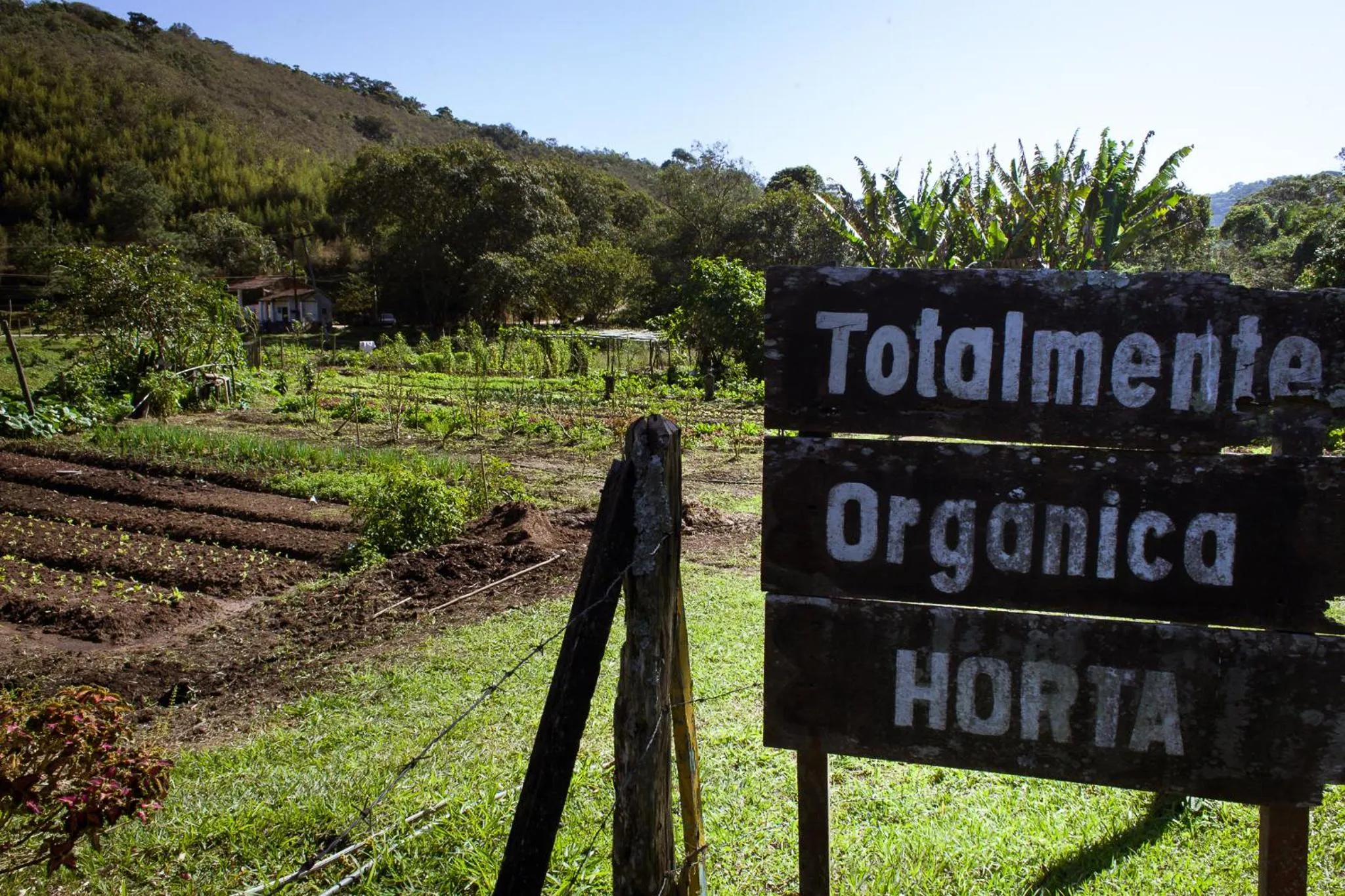 Hotel Fazenda Santa Barbara