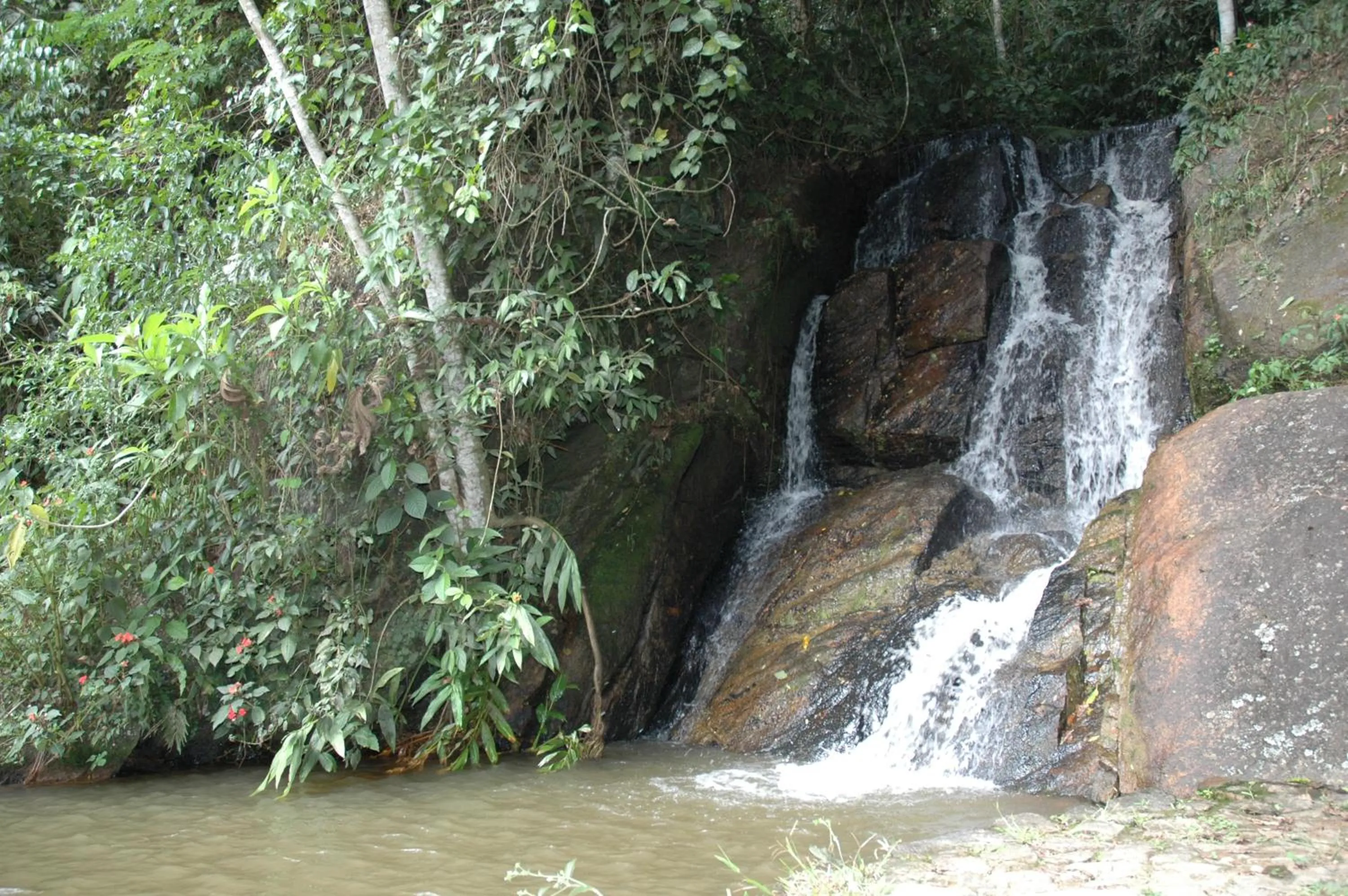 Garden in Hotel Fazenda Santa Barbara