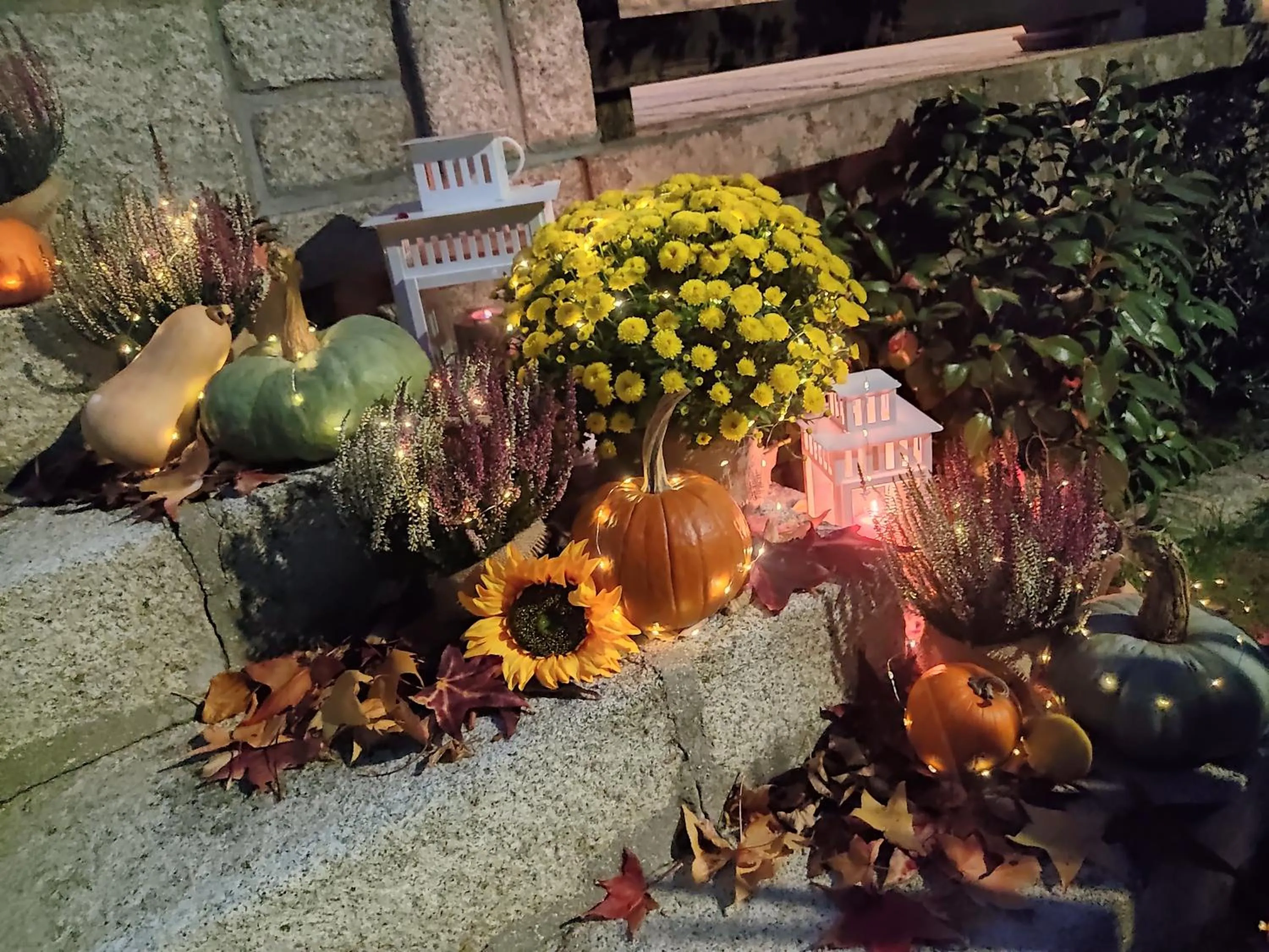 Garden in Posada Rural La Flor
